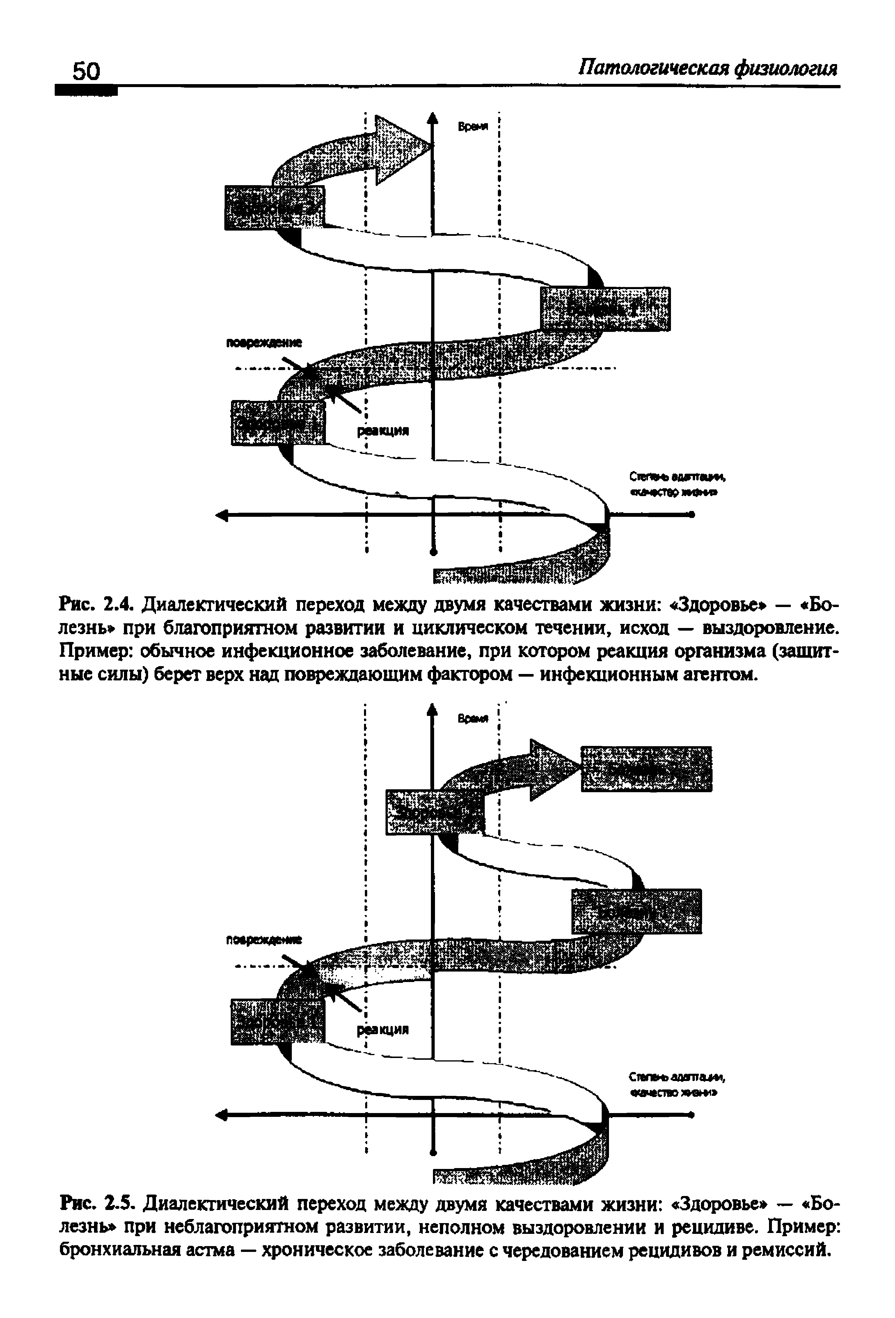 Рис. 2.5. Диалектический переход между двумя качествами жизни Здоровье — Болезнь при неблагоприятном развитии, неполном выздоровлении и рецидиве. Пример бронхиальная астма — хроническое заболевание с чередованием рецидивов и ремиссий.