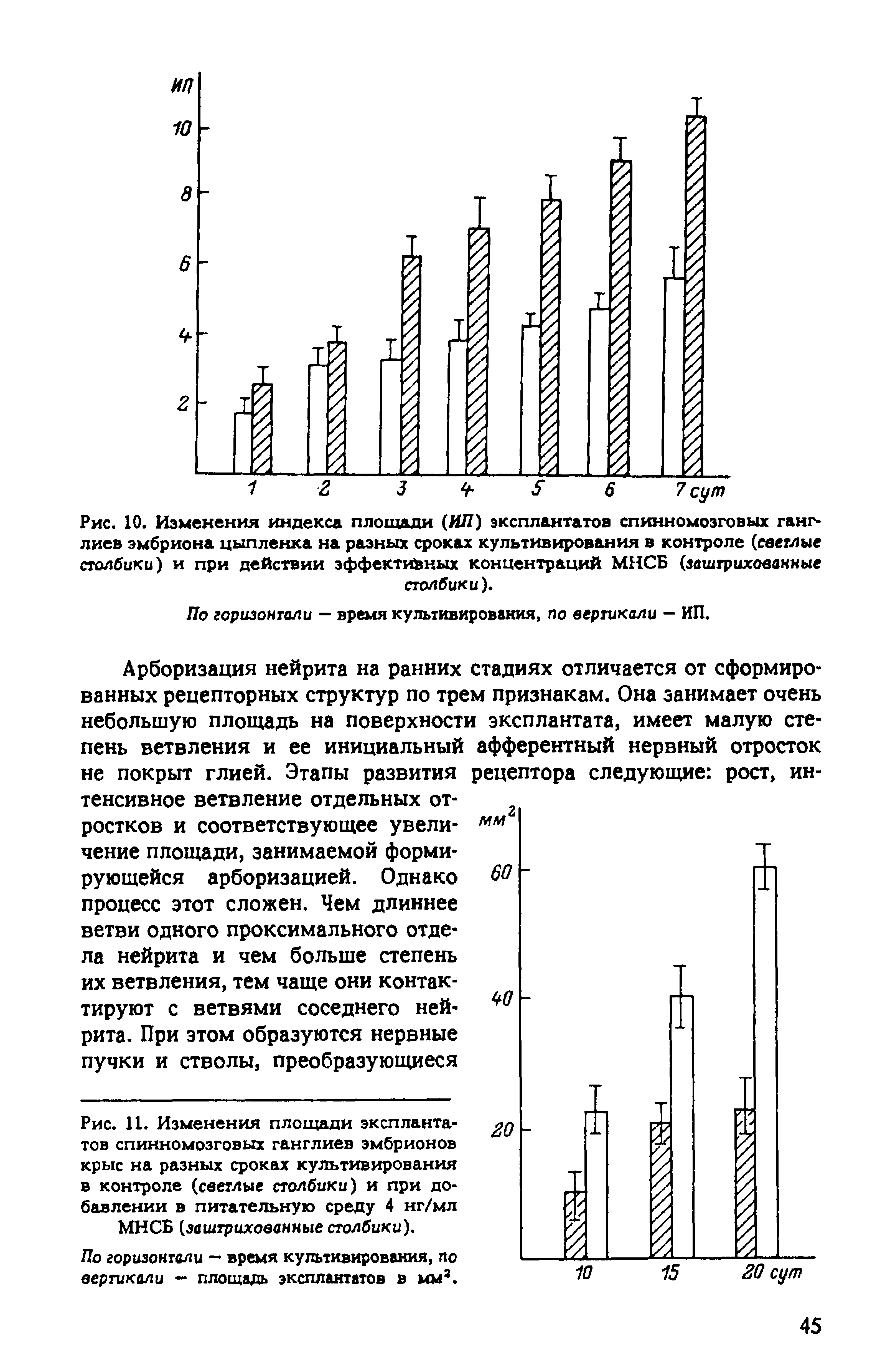 Рис. 11. Изменения площади эксплантатов спинномозговых ганглиев эмбрионов крыс на разных сроках культивирования в контроле (светлые столбики) и при добавлении в питательную среду 4 нг/мл МНСБ (заштрихованные столбики).