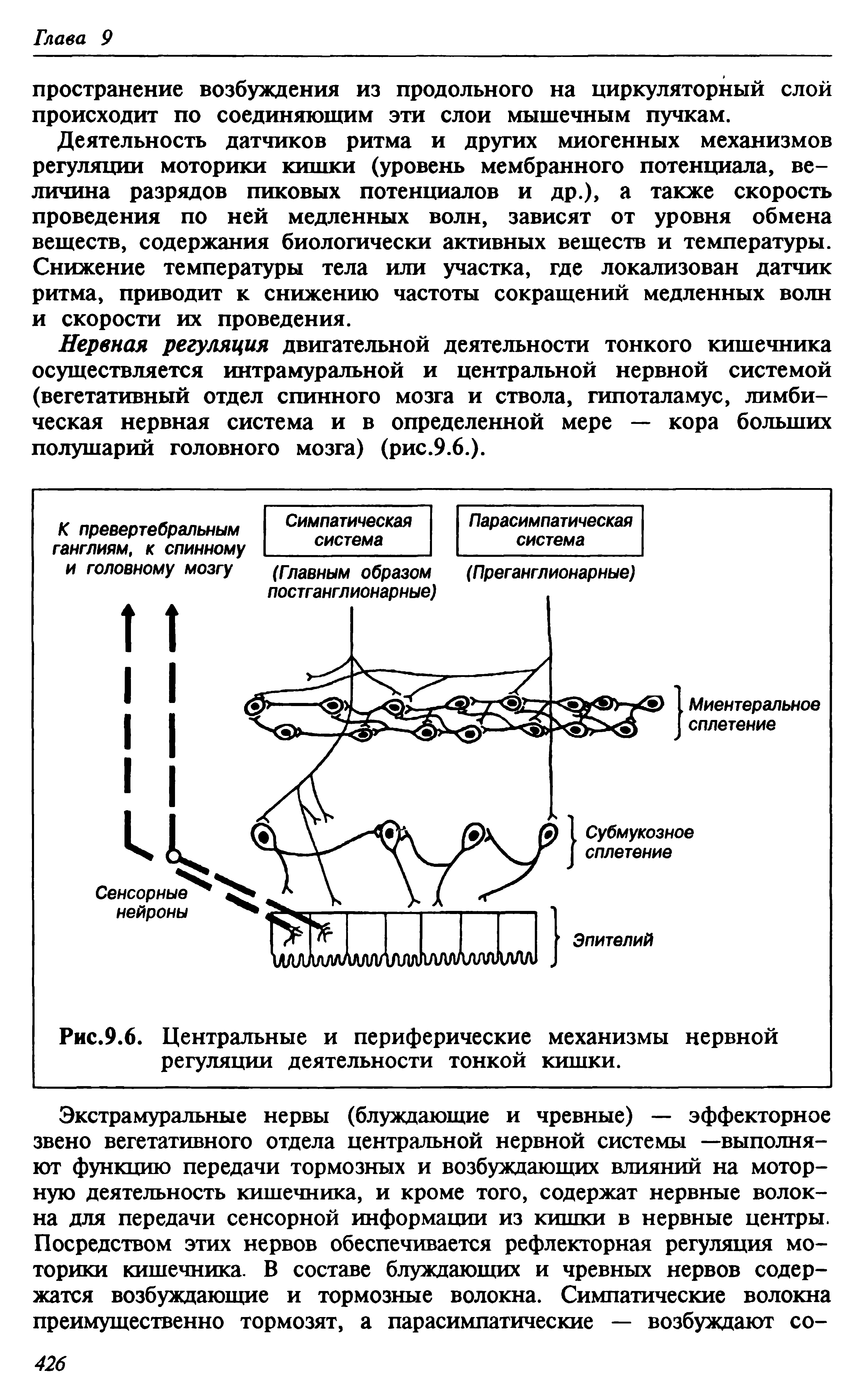 Рис.9.6. Центральные и периферические механизмы нервной регуляции деятельности тонкой кишки.