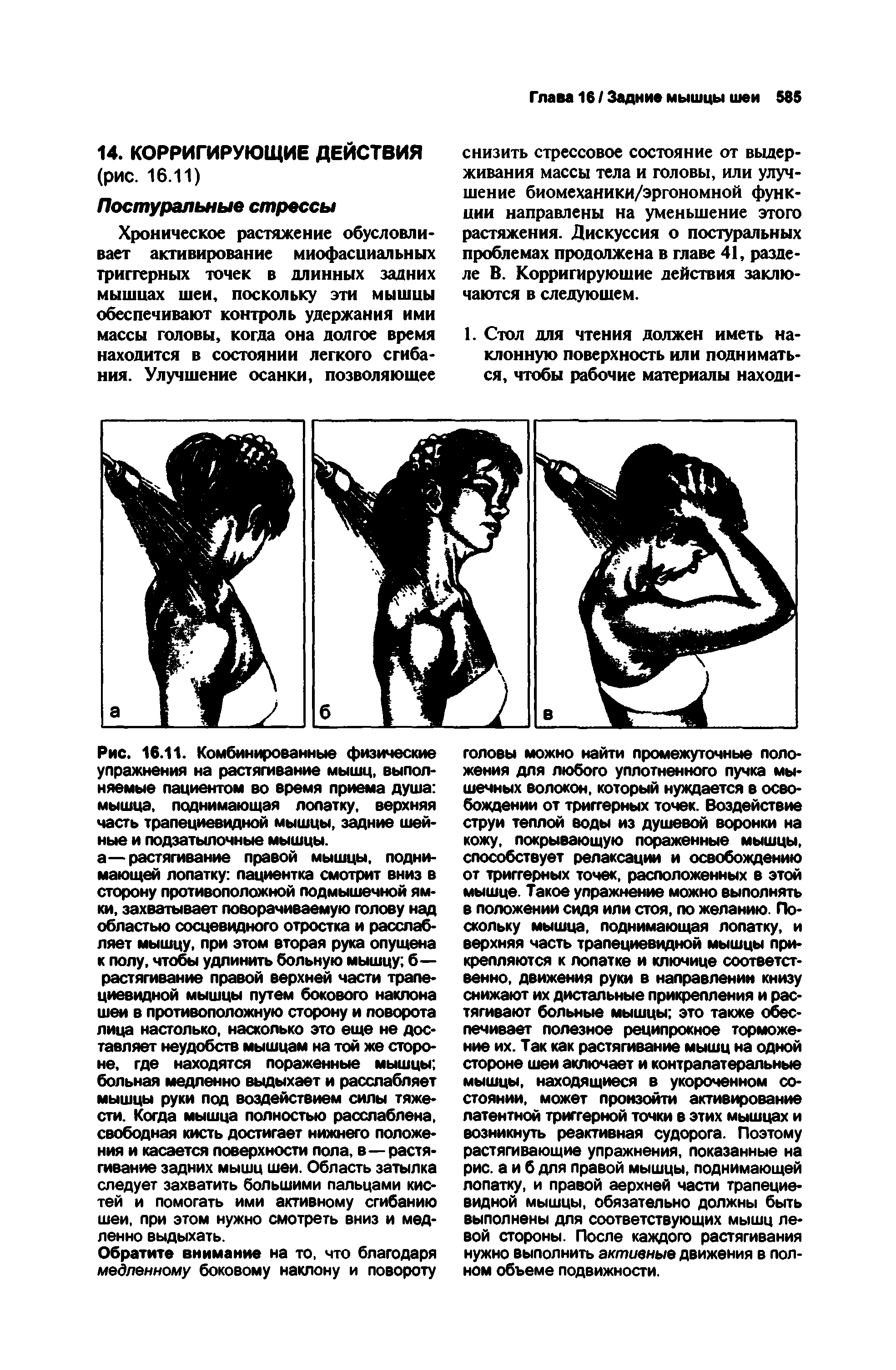 Рис. 16.11. Комбинированные физические упражнения на растягивание мышц, выполняемые пациентом во время приема душа мышца, поднимающая лопатку, верхняя часть трапециевидной мышцы, задние шейные и подзатылочные мышцы.