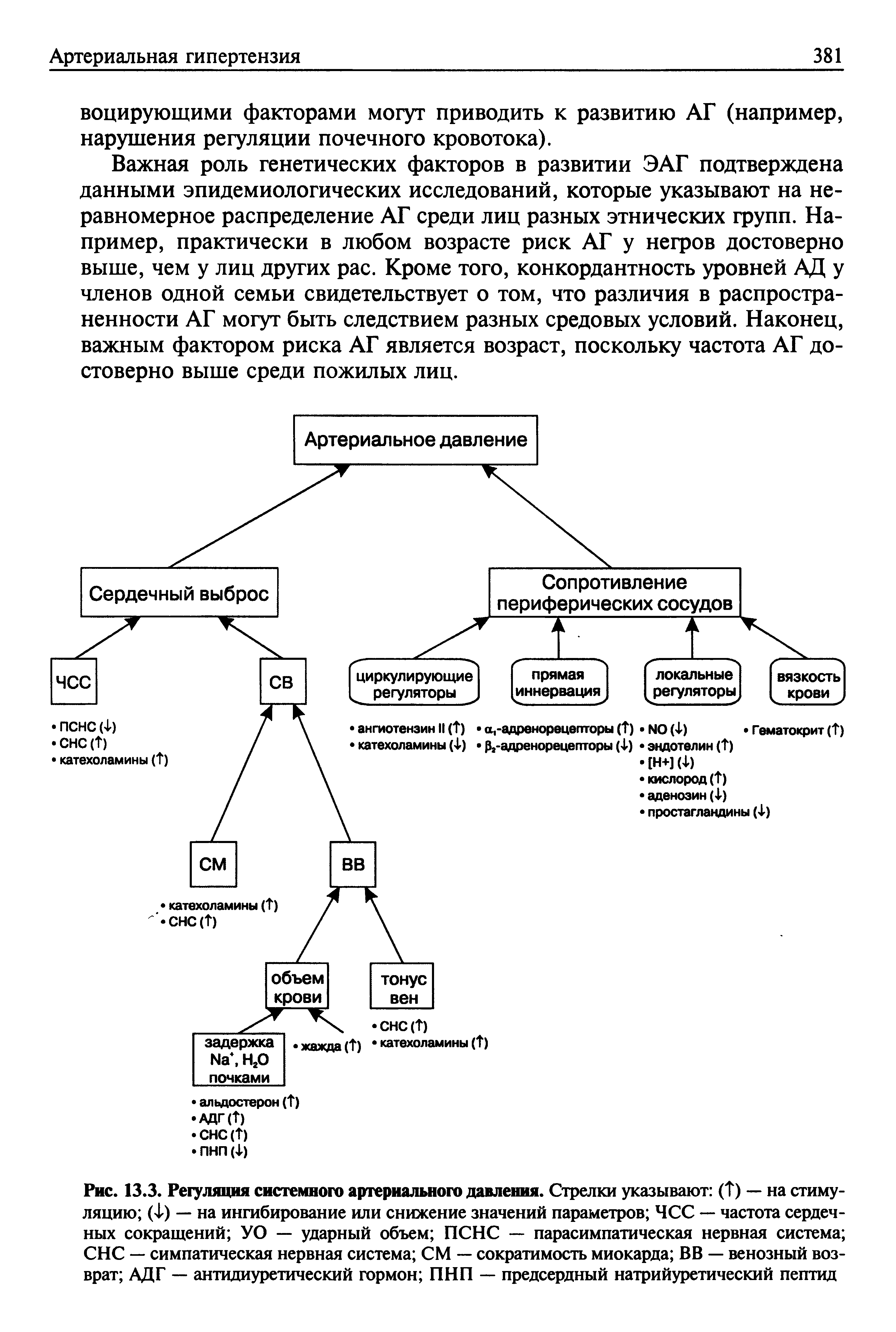Рис. 13.3. Регуляция системного артериального давления. Стрелки указывают (Т) — на стимуляцию (Ф) — на ингибирование или снижение значений параметров ЧСС — частота сердечных сокращений УО — ударный объем ПСНС — парасимпатическая нервная система СНС — симпатическая нервная система СМ — сократимость миокарда ВВ — венозный возврат АДГ — антидиуретический гормон ПНП — предсердный натрийуретический пептид...