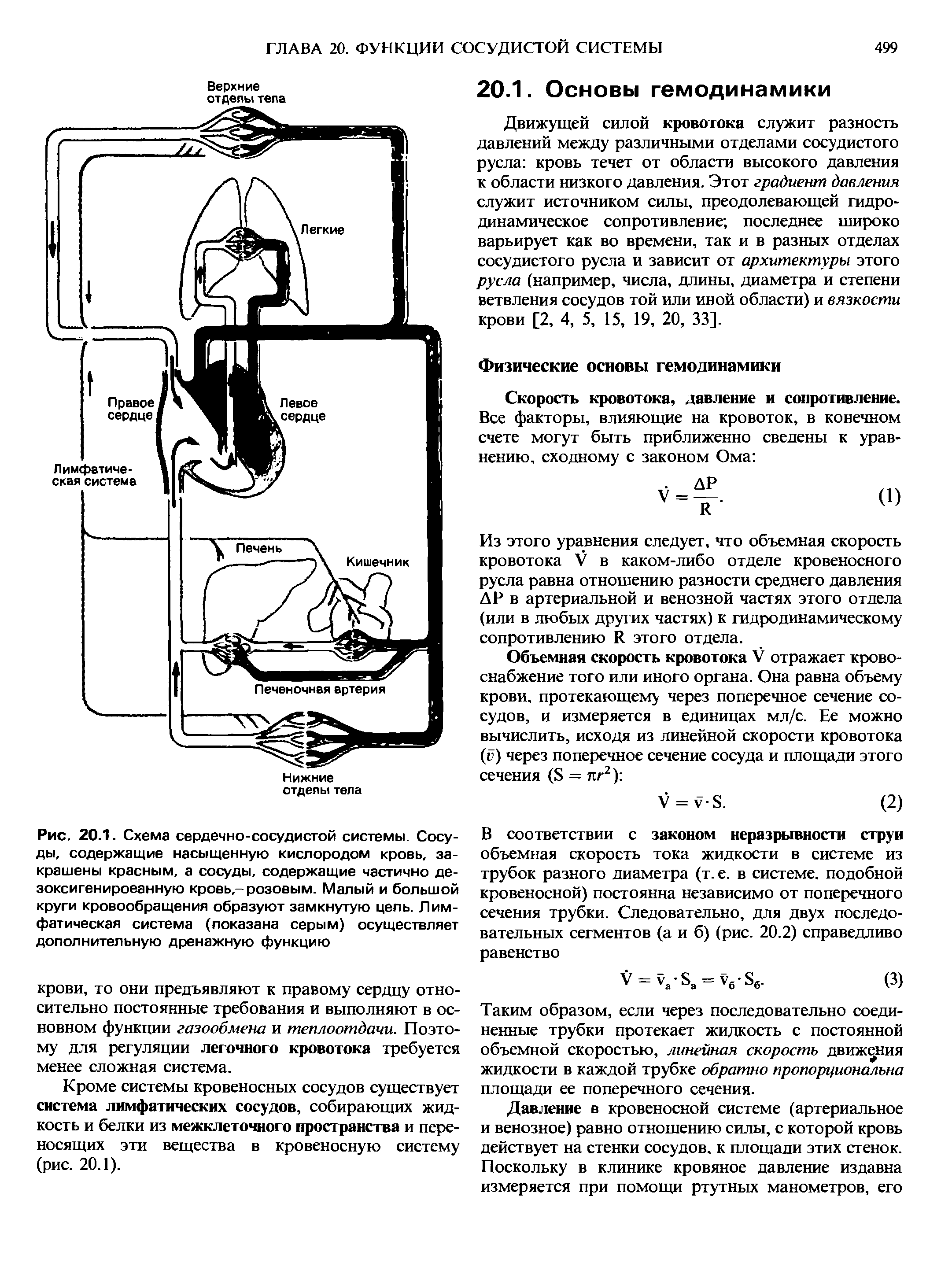 Рис. 20.1. Схема сердечно-сосудистой системы. Сосуды, содержащие насыщенную кислородом кровь, закрашены красным, а сосуды, содержащие частично дезоксигенированную кровь,-розовым. Малый и большой круги кровообращения образуют замкнутую цепь. Лимфатическая система (показана серым) осуществляет дополнительную дренажную функцию...