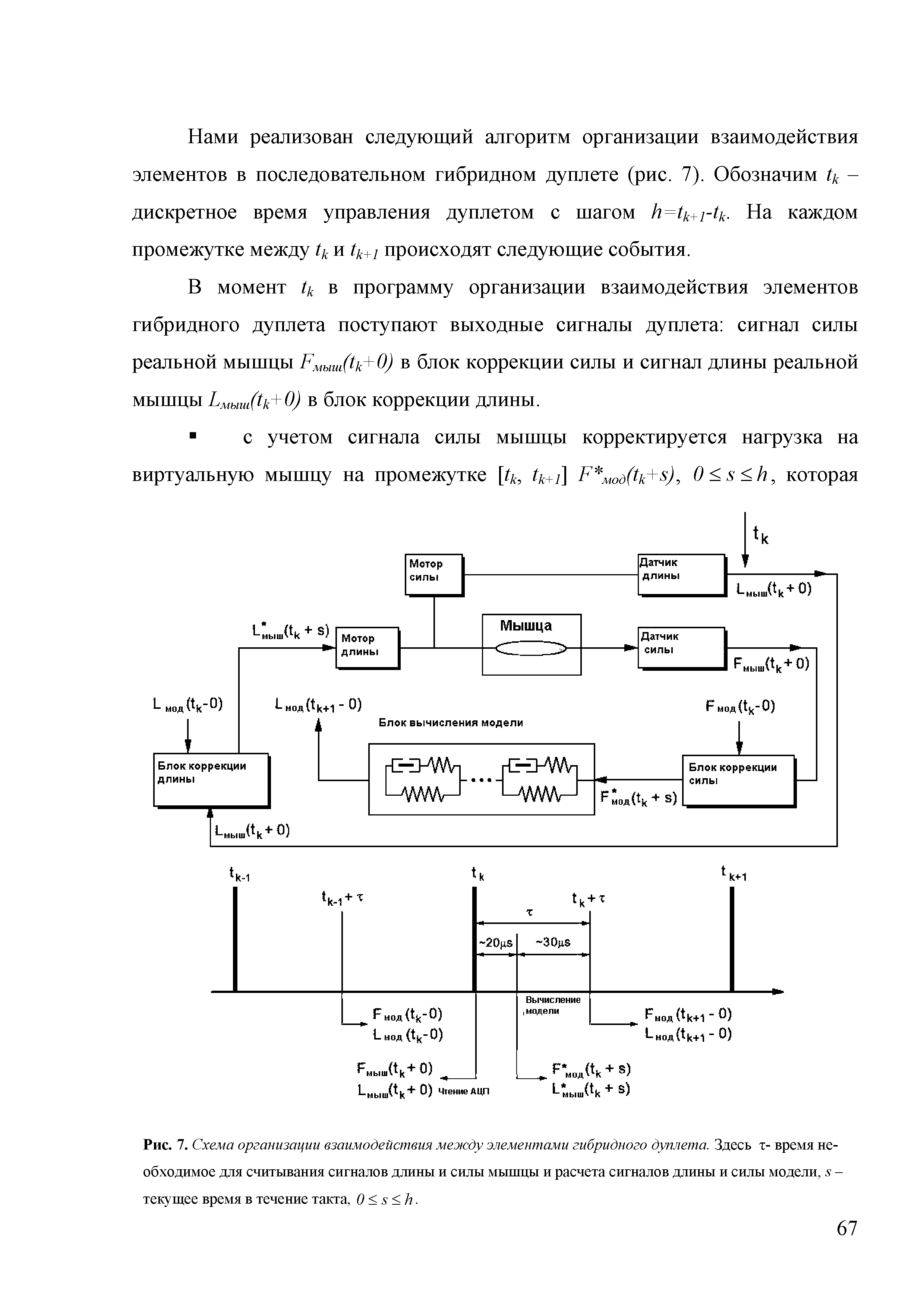 Рис. 7. Схема организации взаимодействия между элементами гибридного дуплета. Здесь т- время необходимое для считывания сигналов длины и силы мышцы и расчета сигналов длины и силы модели, 5 -текущее время в течение такта, 0 < 5 <к.