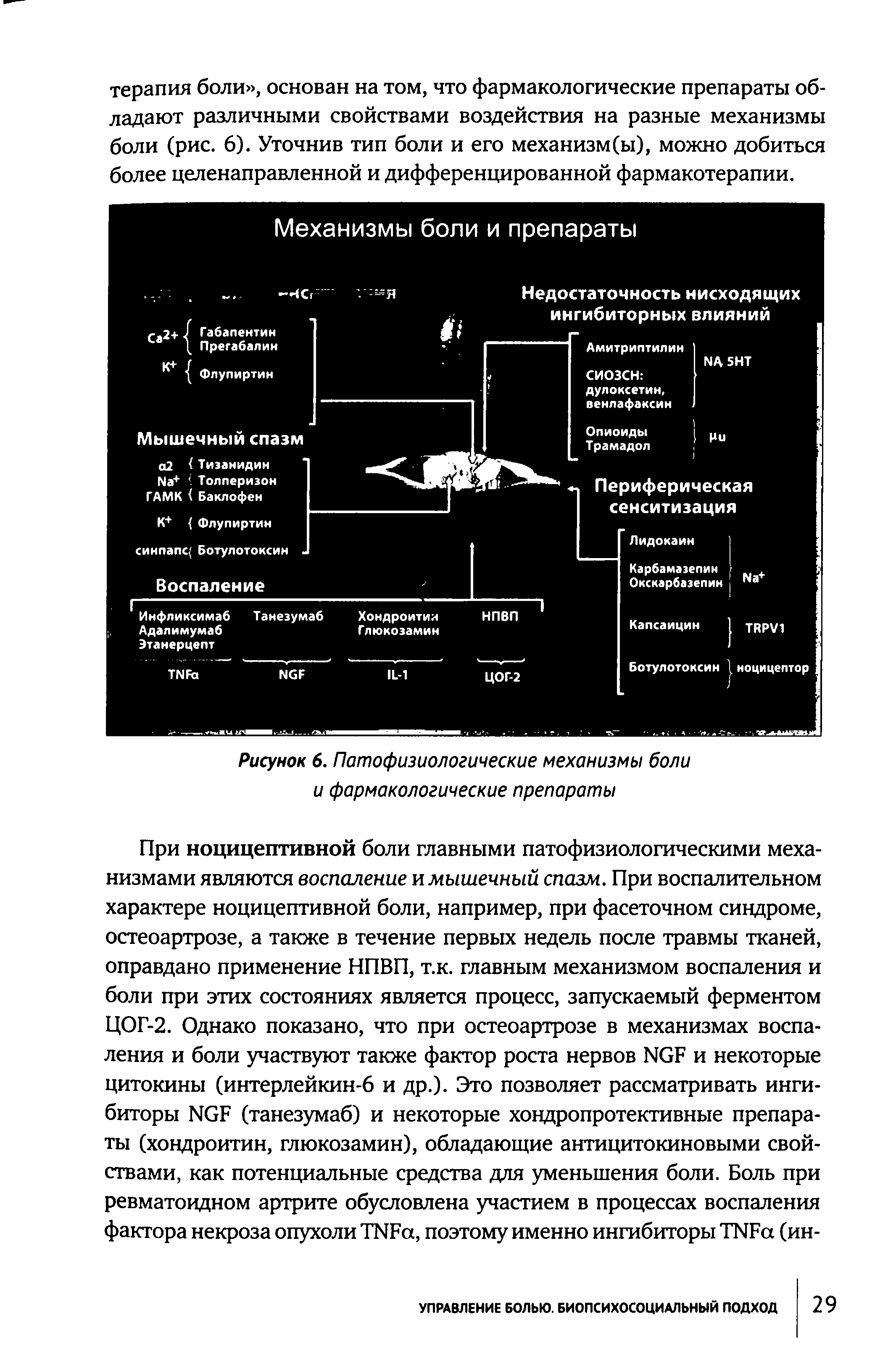 Рисунок 6. Патофизиологические механизмы боли и фармакологические препараты...