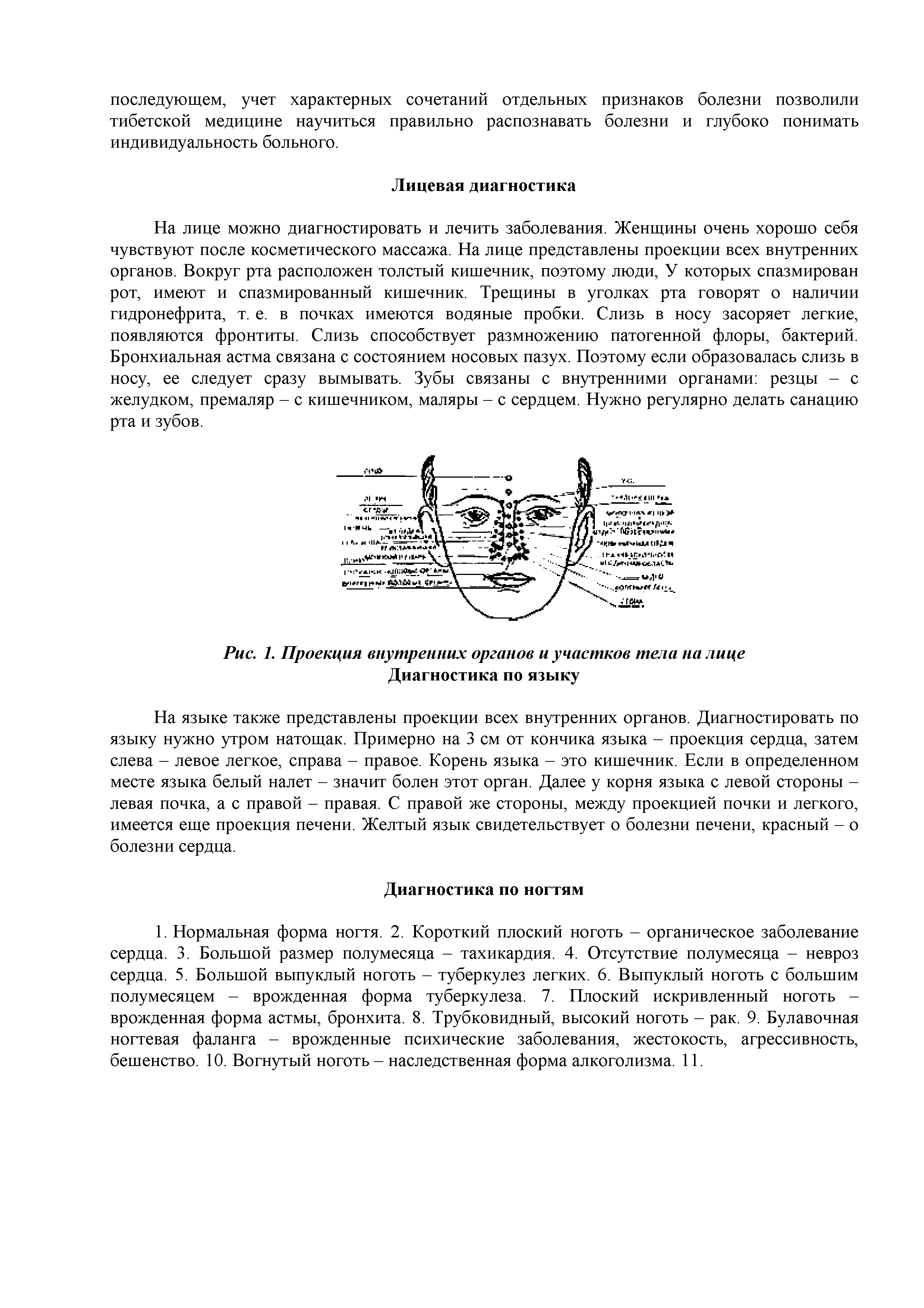 Рис. 1. Проекция внутренних органов и участков тела на лице Диагностика по языку...