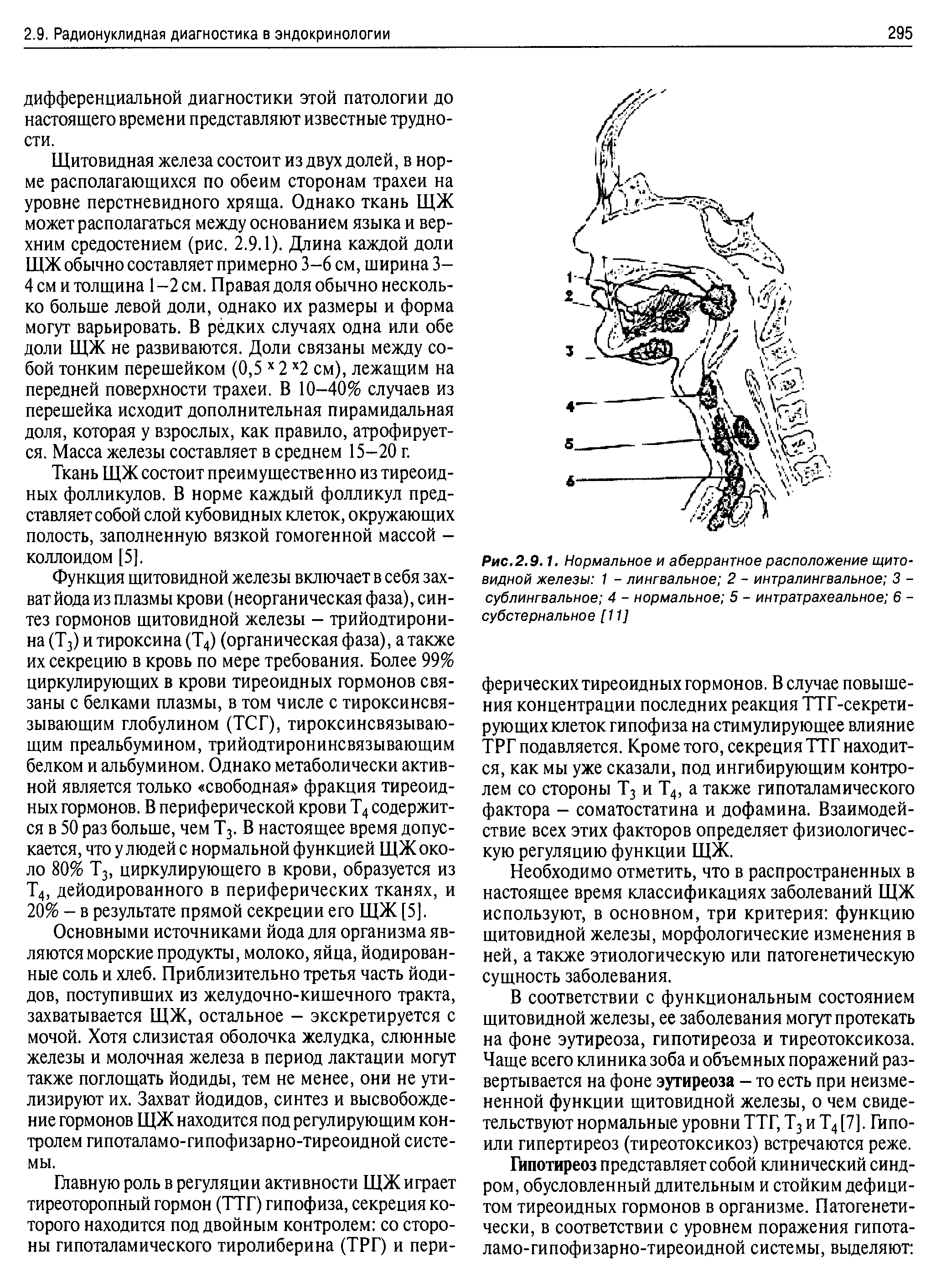 Рис.2.9.1. Нормальное и аберрантное расположение щитовидной железы 1 - лингвальное 2 - интралингвальное 3 -сублингвальное 4 - нормальное 5 - интратрахеальное 6 -субстернальное [11]...