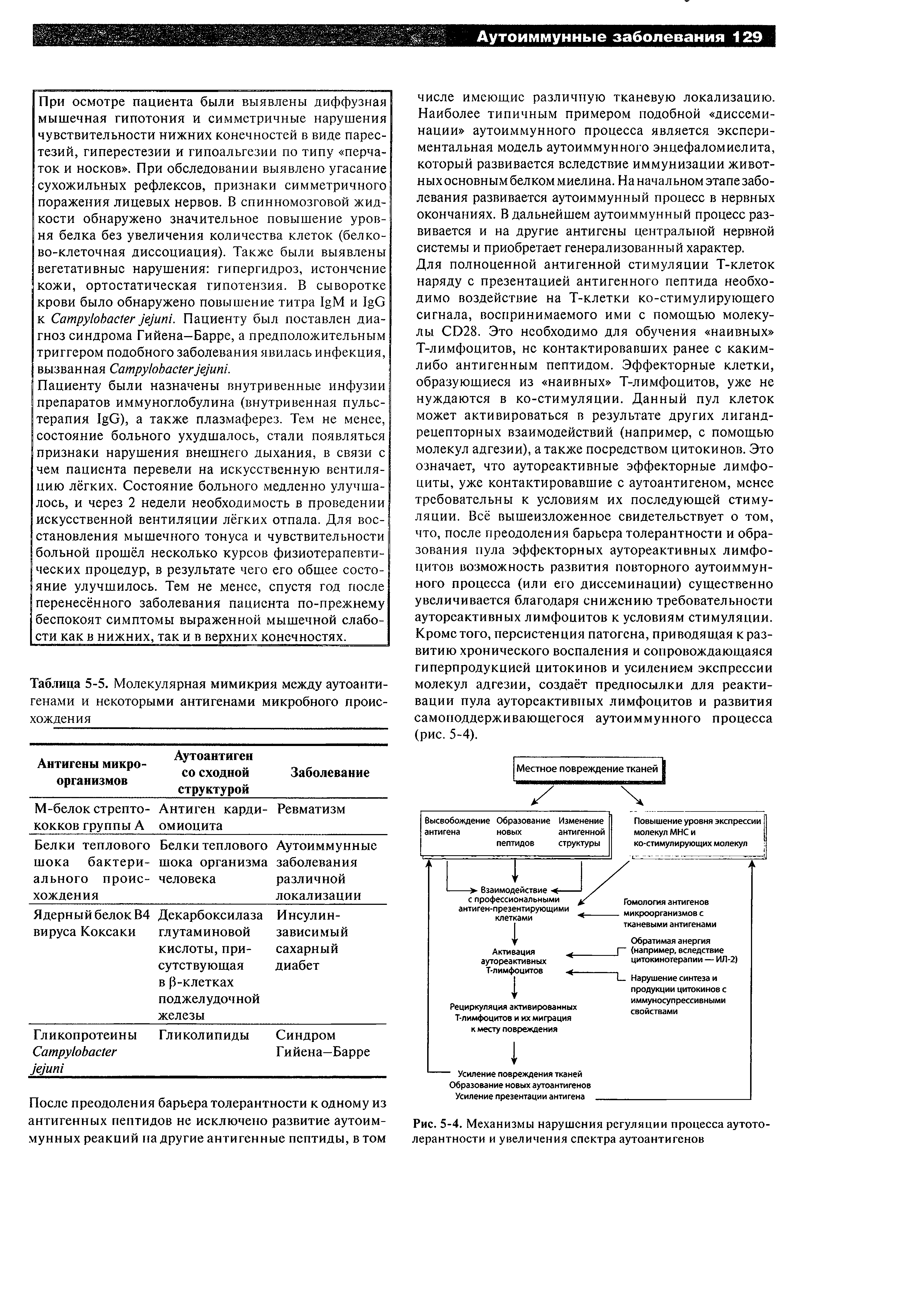 Таблица 5-5. Молекулярная мимикрия между аутоантигенами и некоторыми антигенами микробного происхождения...