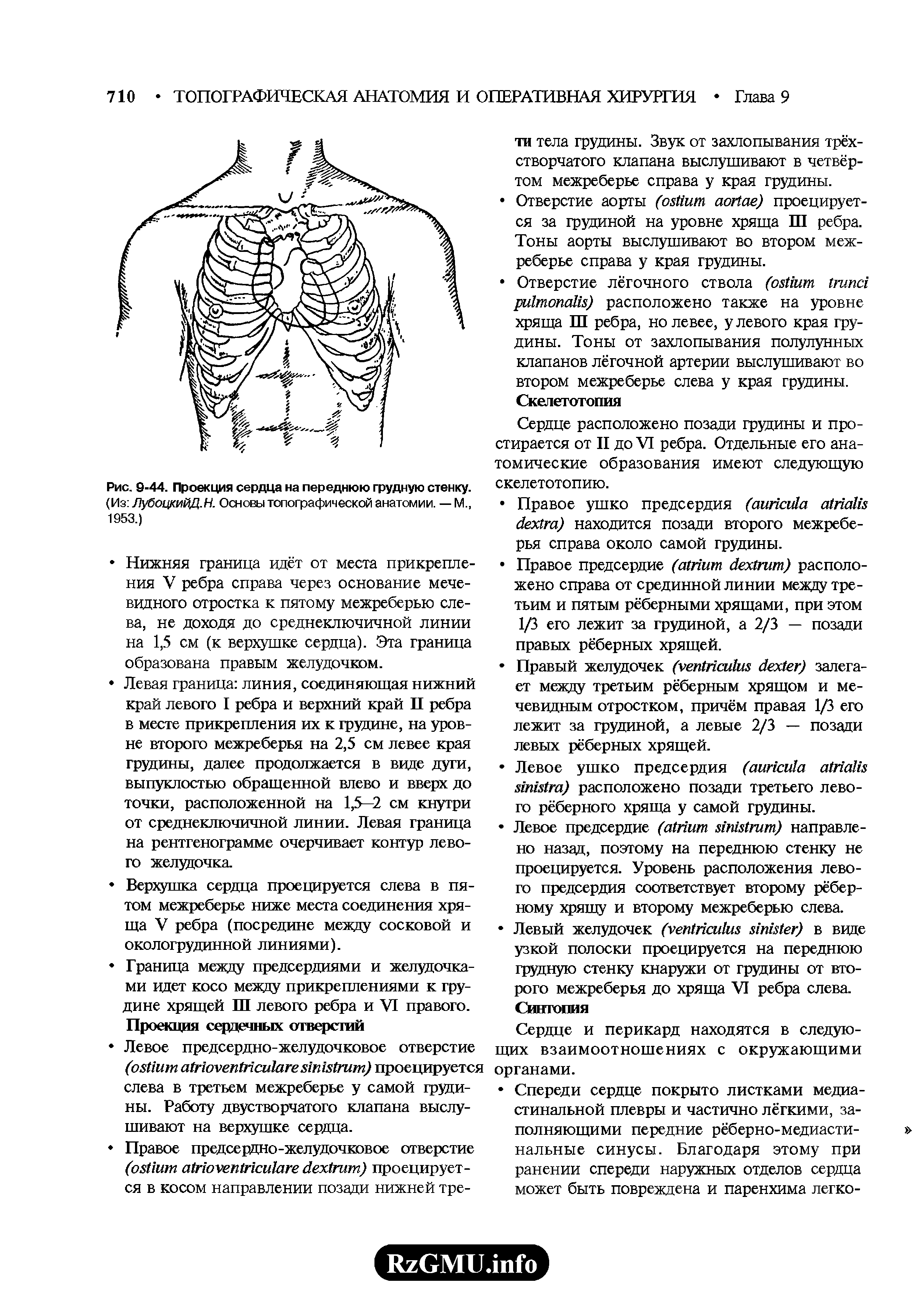 Рис. 9-44. Проекция сердца на переднюю грудную стенку. (Из ЛубоцкийД.Н. Основы топографической анатомии. — М., 1953.)...