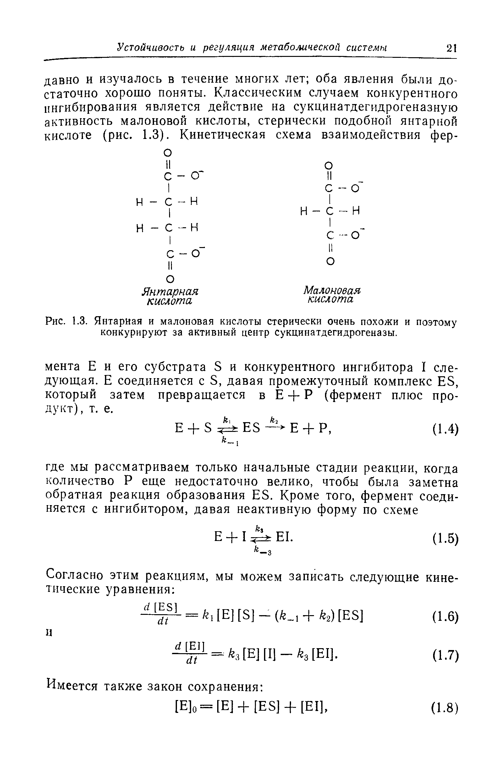 Рис. 1.3. Янтарная и малоновая кислоты стерически очень похожи и поэтому конкурируют за активный центр сукцинатдегидрогеназы.