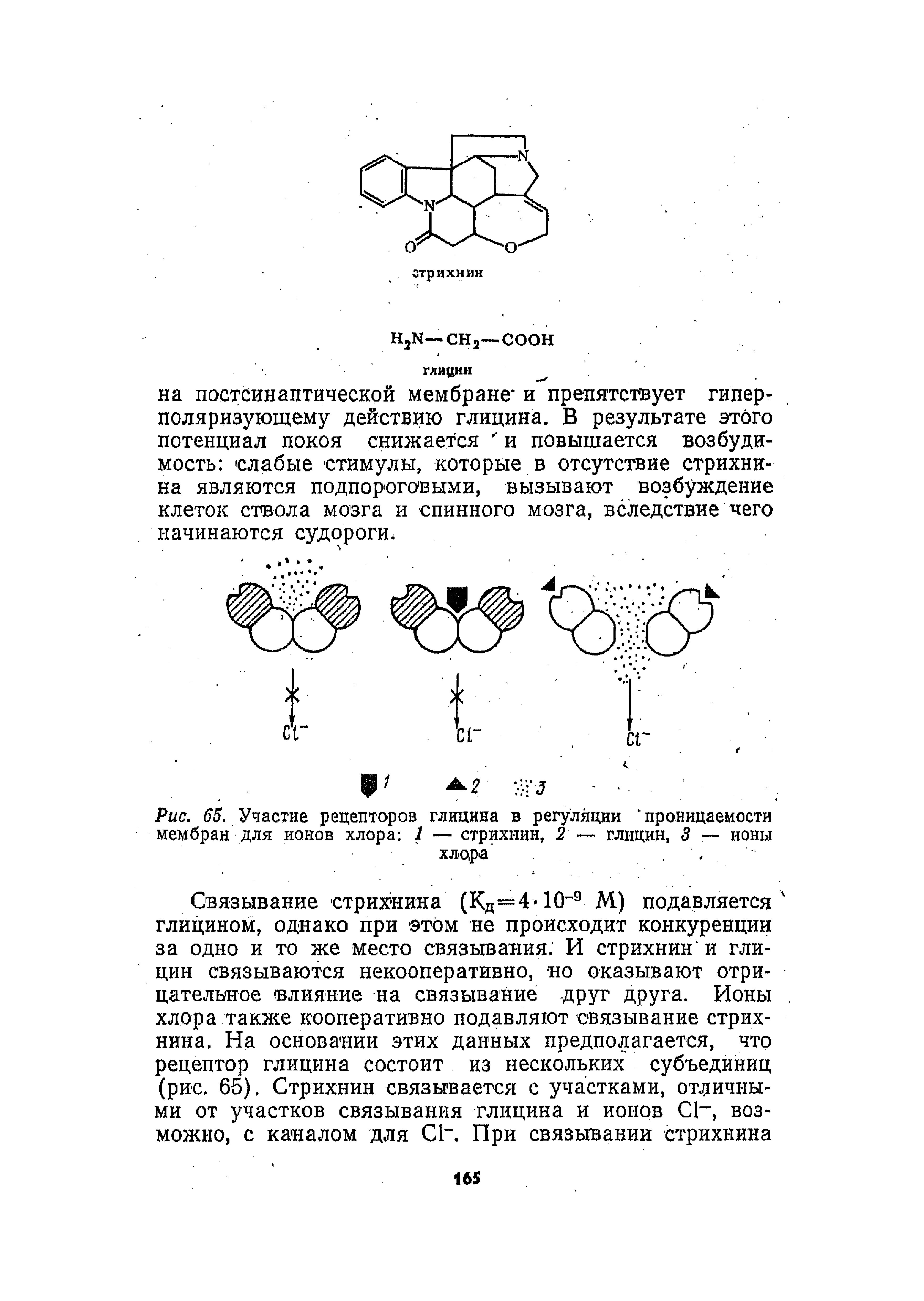 Рис. 65. Участие рецепторов глицина в регуляции проницаемости мембран для ионов хлора 1 — стрихнин, 2 — глицин, 3 — ионы хлора. . ...