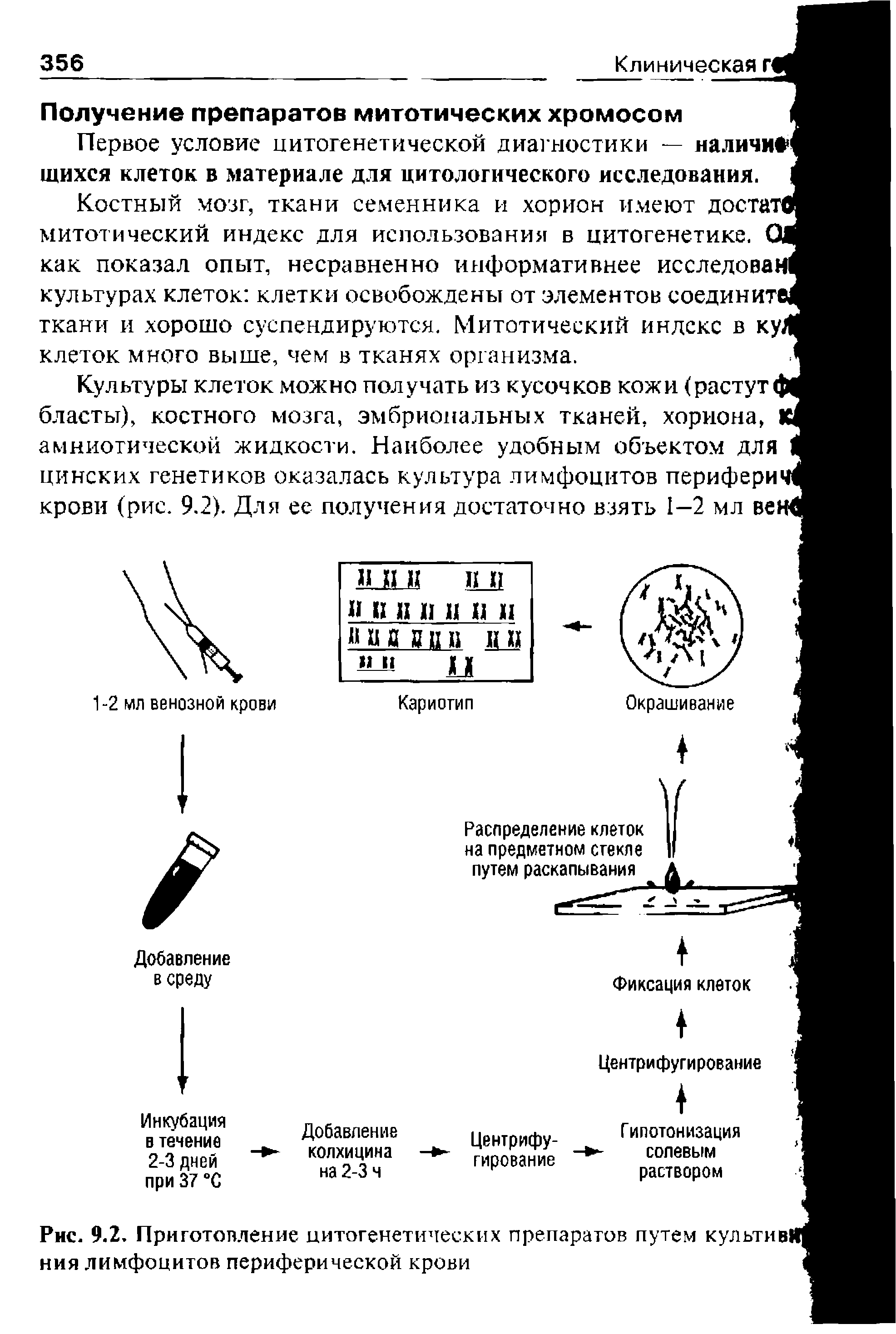 Рис. 9.2. Приготовление цитогенетических препаратов путем культив ния лимфоцитов периферической крови...