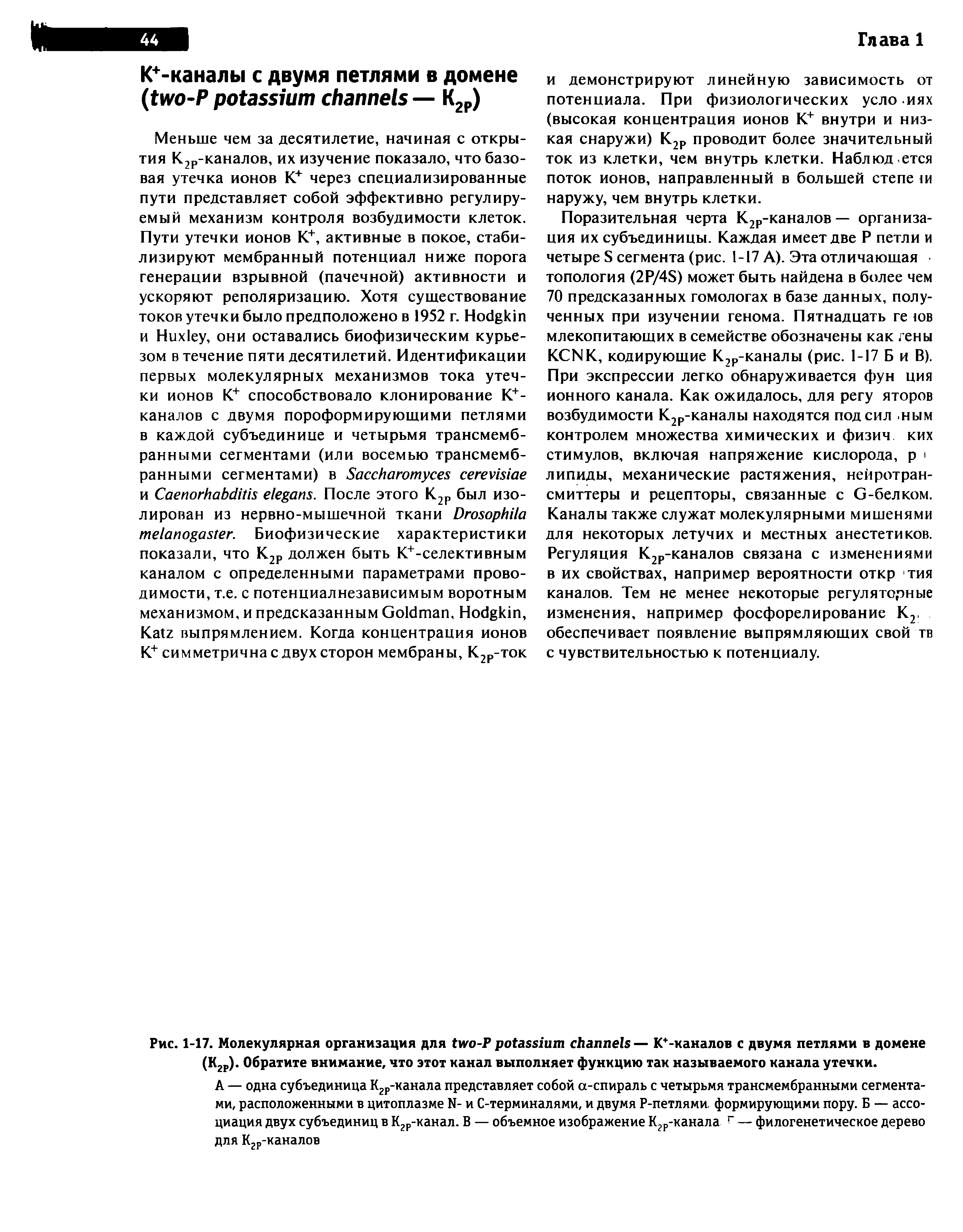 Рис. 1-17. Молекулярная организация для -P — К+-каналов с двумя петлями в домене (К2Р). Обратите внимание, что этот канал выполняет функцию так называемого канала утечки.