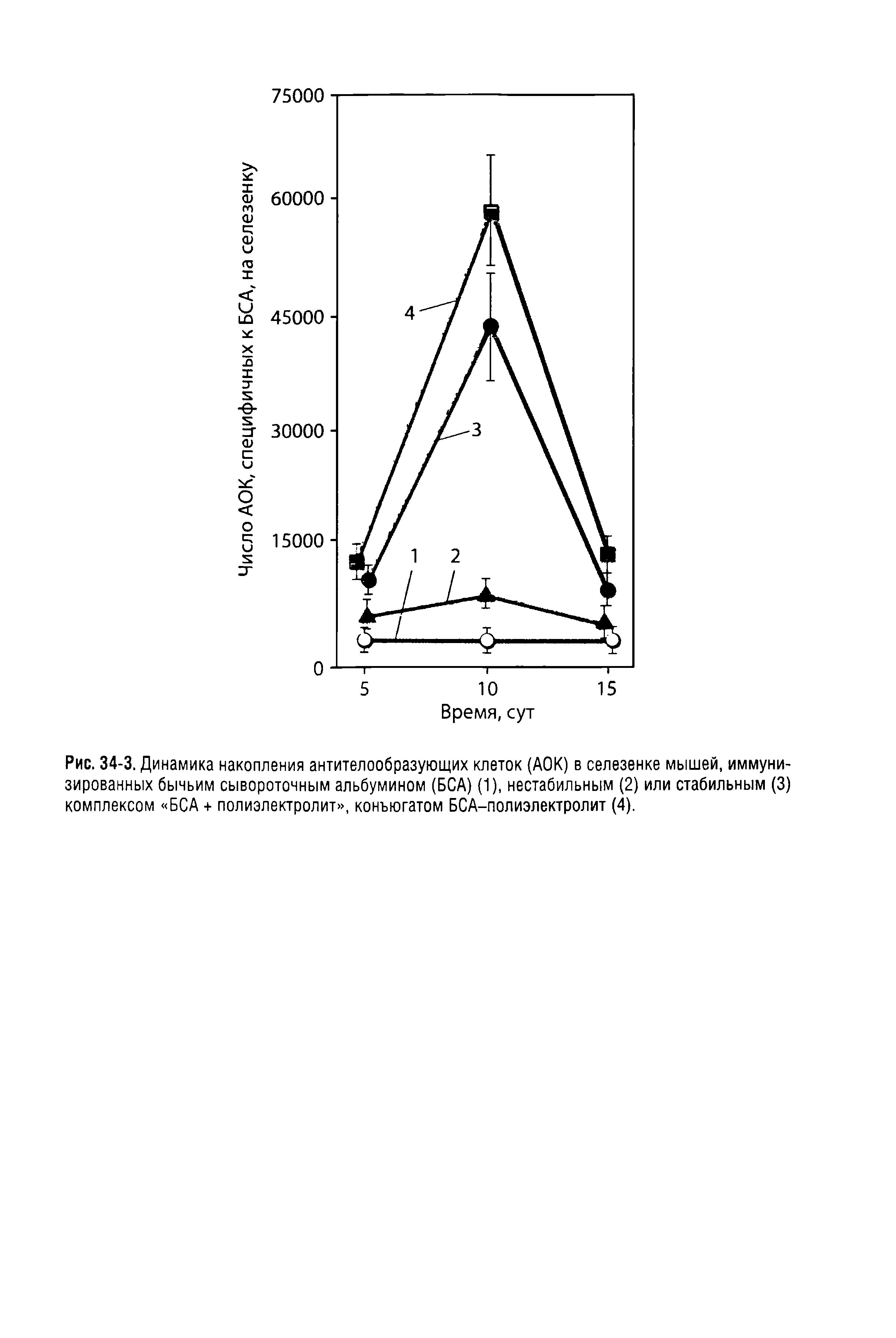 Рис. 34-3. Динамика накопления антителообразующих клеток (АОК) в селезенке мышей, иммунизированных бычьим сывороточным альбумином (БСА) (1), нестабильным (2) или стабильным (3) комплексом БСА + полиэлектролит , конъюгатом БСА-полиэлектролит (4).