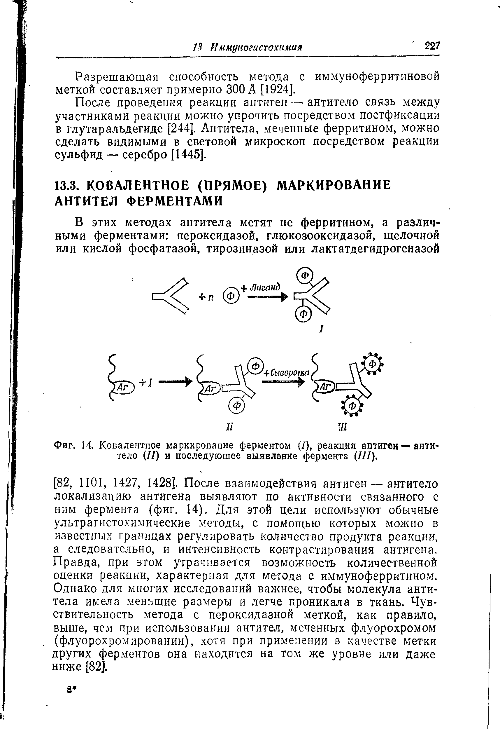 Фиг. 14. Ковалентное маркирование ферментом (/), реакция антиген — антитело (II) и последующее выявление фермента (III).