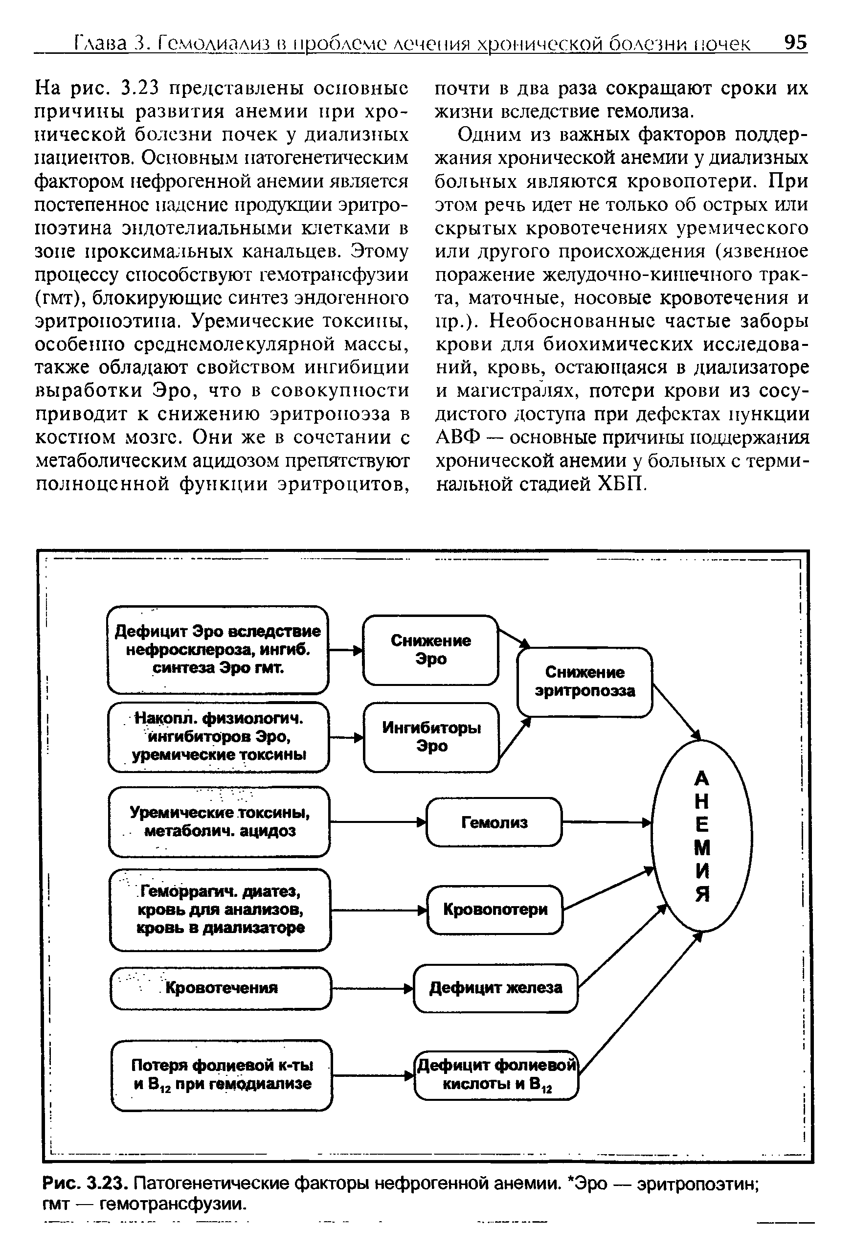Рис. 3.23. Патогенетические факторы нефрогенной анемии. Эро — эритропоэтин гмт — гемотрансфузии.