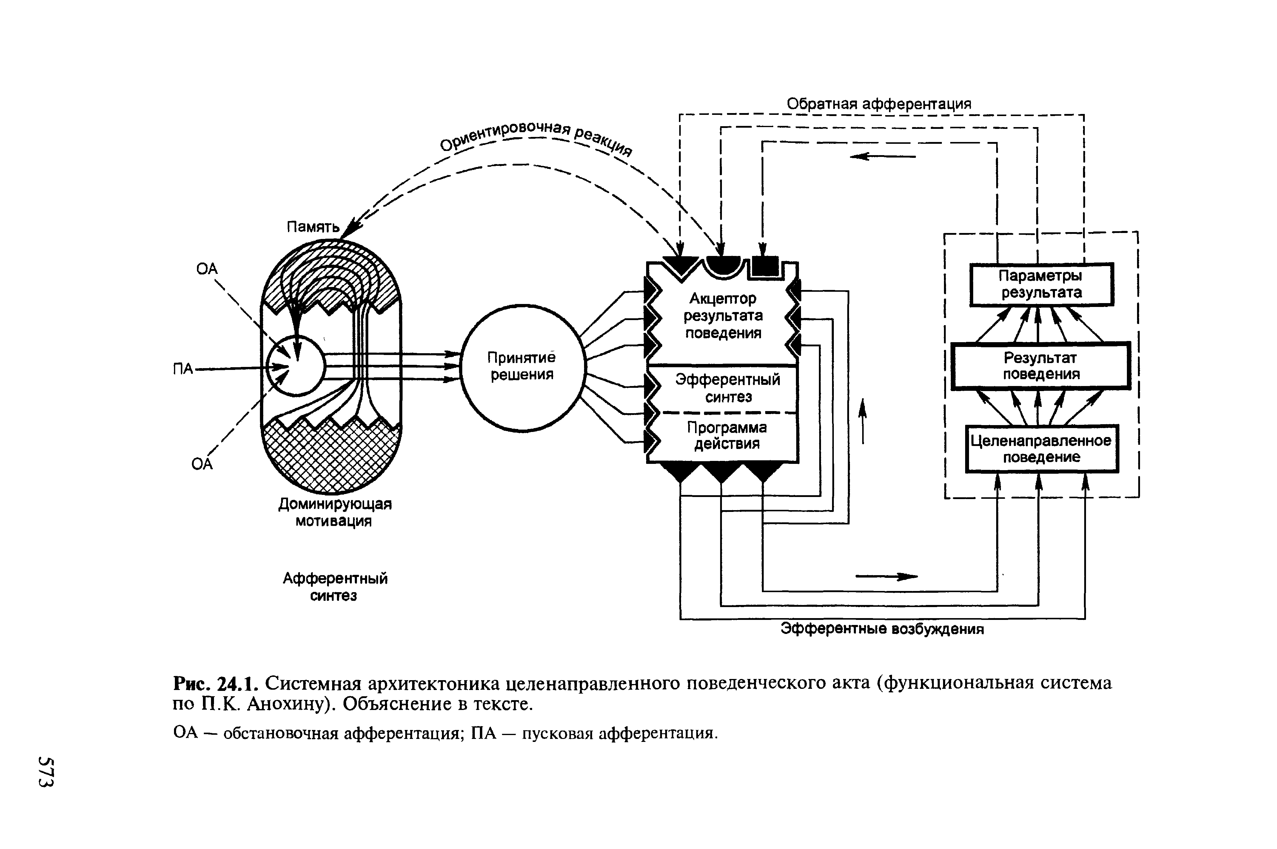 Общая схема функциональной системы организма