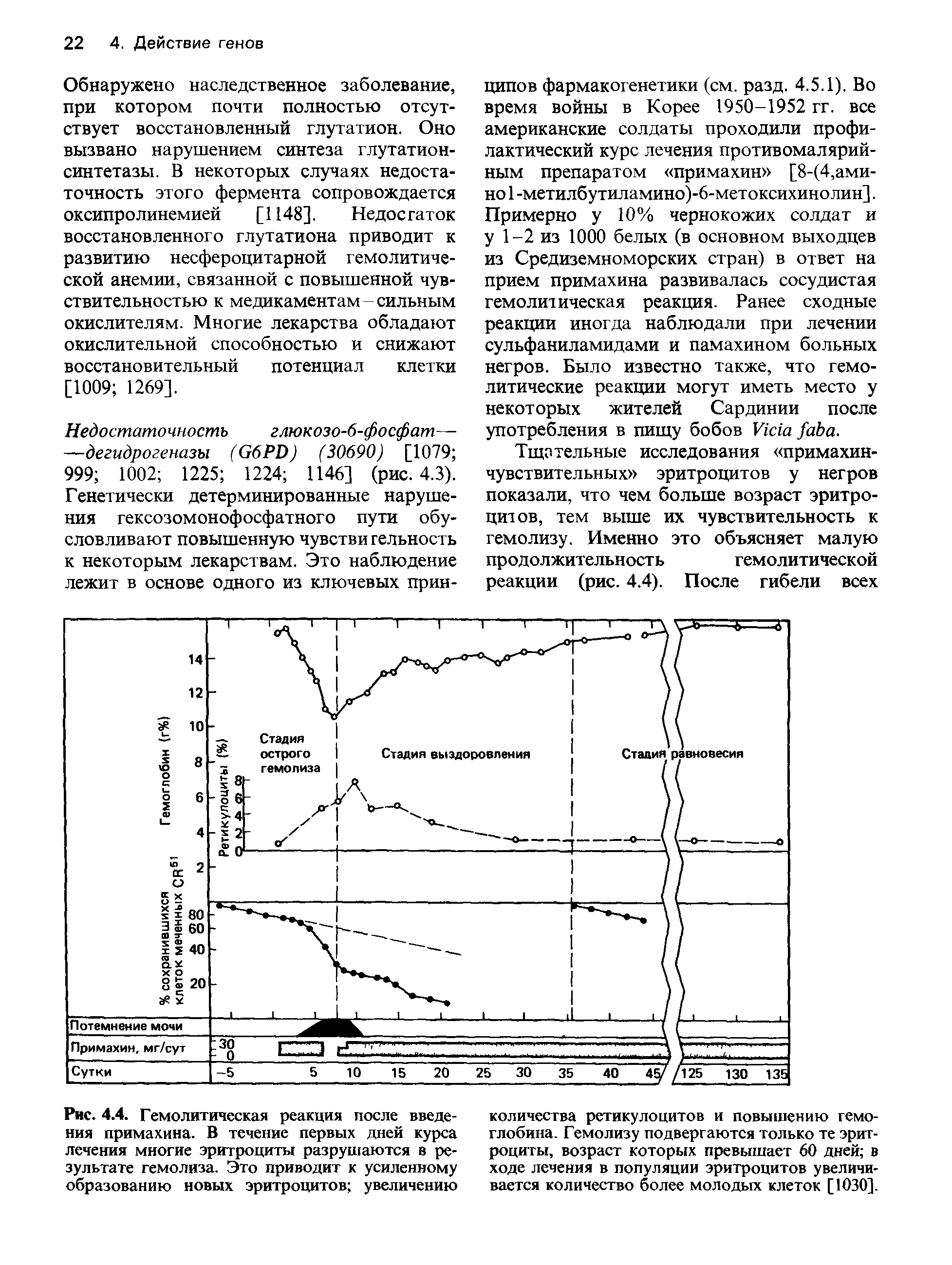 Рис. 4.4. Гемолитическая реакция после введения примахина. В течение первых дней курса лечения многие эритроциты разрушаются в результате гемолиза. Это приводит к усиленному образованию новых эритроцитов увеличению...