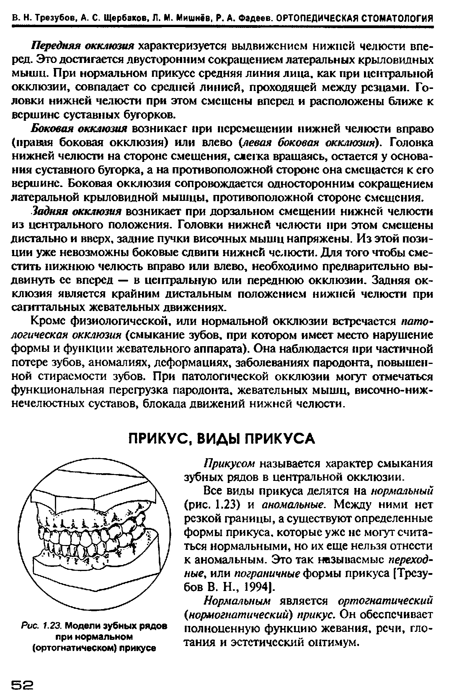 Рис. 1.23. Модели зубных рядов при нормальном (ортогнатическом) прикусе...