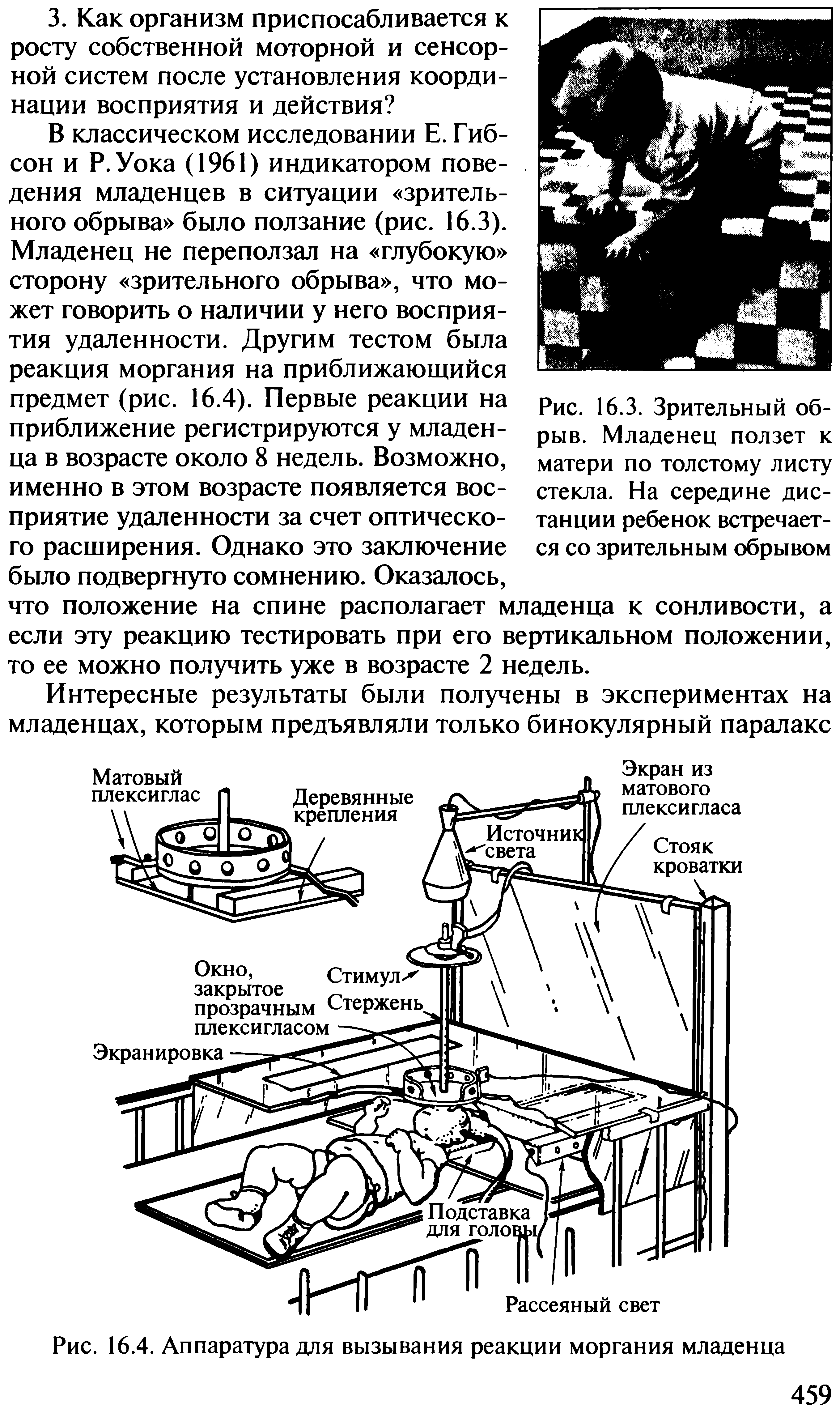 Рис. 16.3. Зрительный обрыв. Младенец ползет к матери по толстому листу стекла. На середине дистанции ребенок встречается со зрительным обрывом...