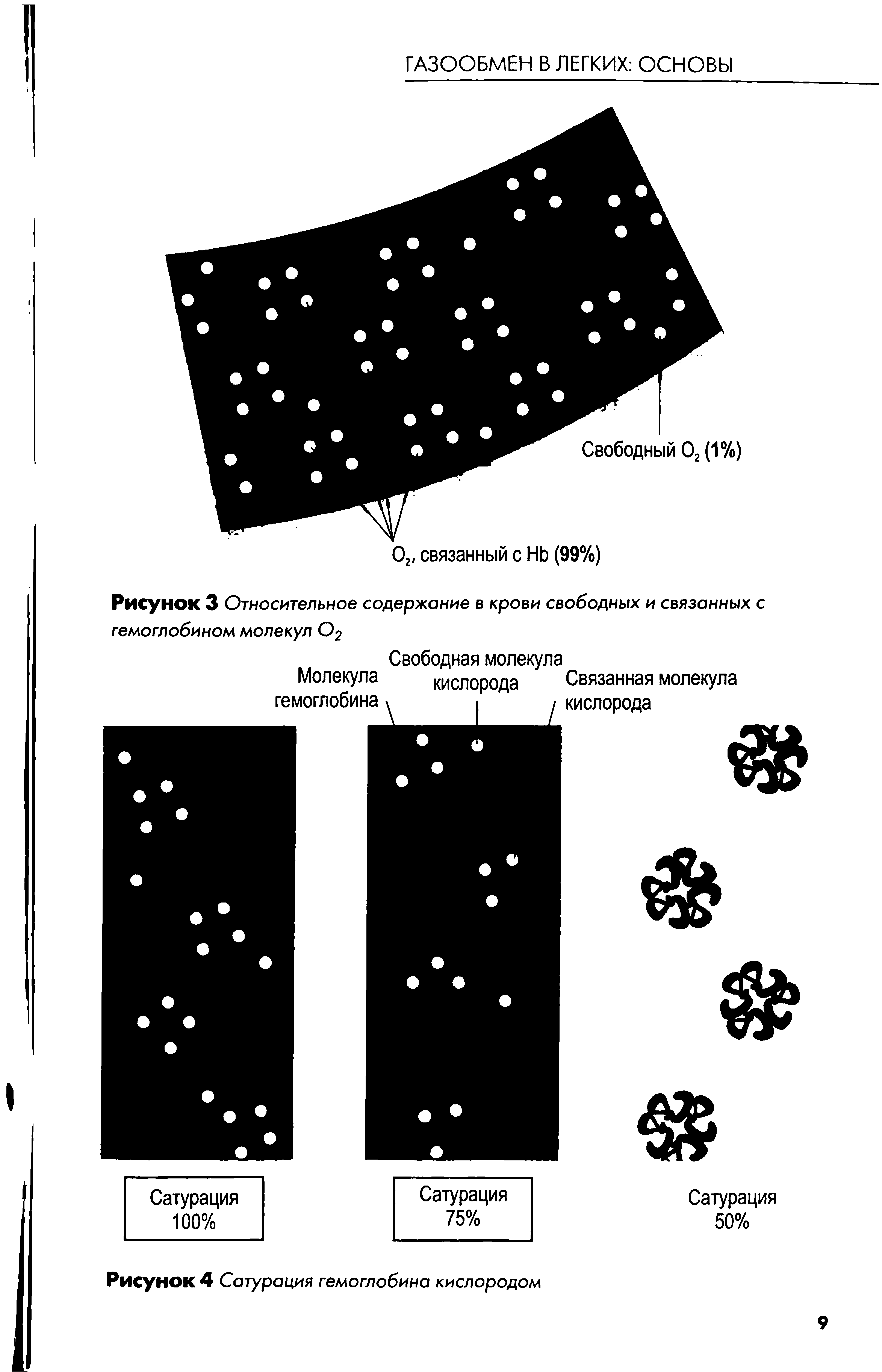 Рисунок 3 Относительное содержание в крови свободных и связанных с гемоглобином молекул О%...