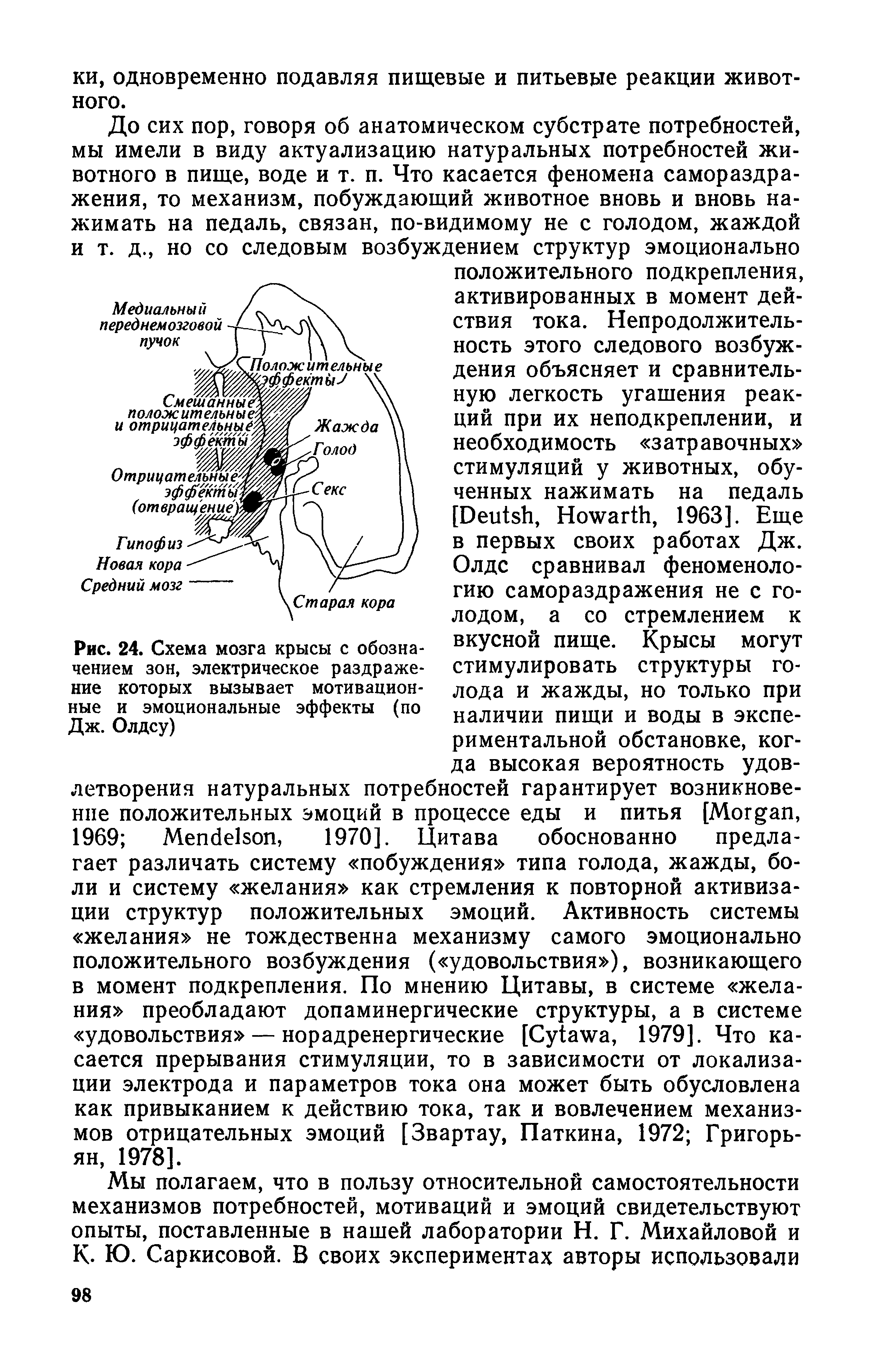 Рис. 24. Схема мозга крысы с обозначением зон, электрическое раздражение которых вызывает мотивационные и эмоциональные эффекты (по Дж. Олдсу)...