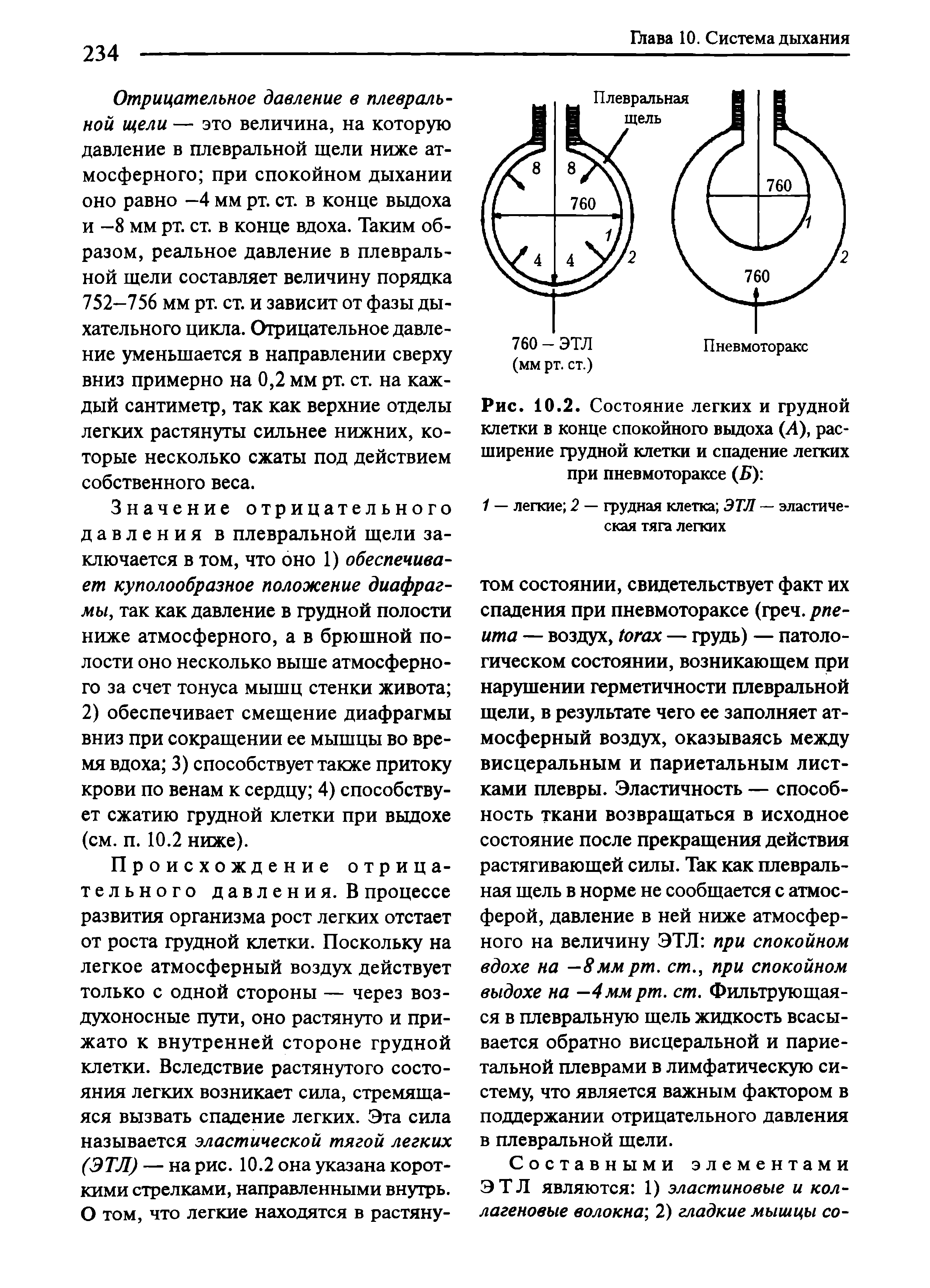 Рис. 10.2. Состояние легких и грудной клетки в конце спокойного выдоха (А), расширение грудной клетки и спадение легких при пневмотораксе (Б) ...