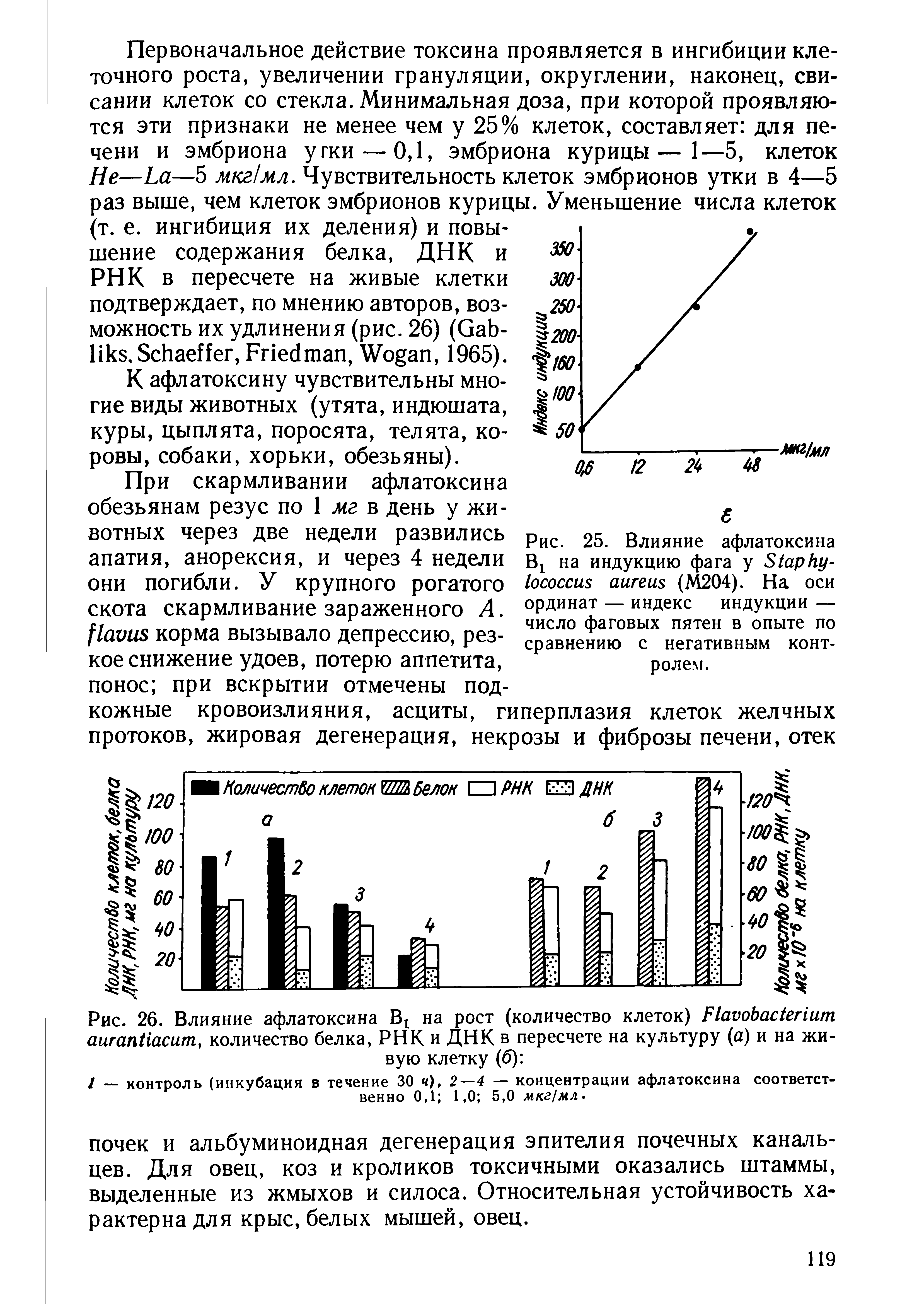 Рис. 25. Влияние афлатоксина B на индукцию фага у S (М204). На оси ординат — индекс индукции — число фаговых пятен в опыте по сравнению с негативным контролем.