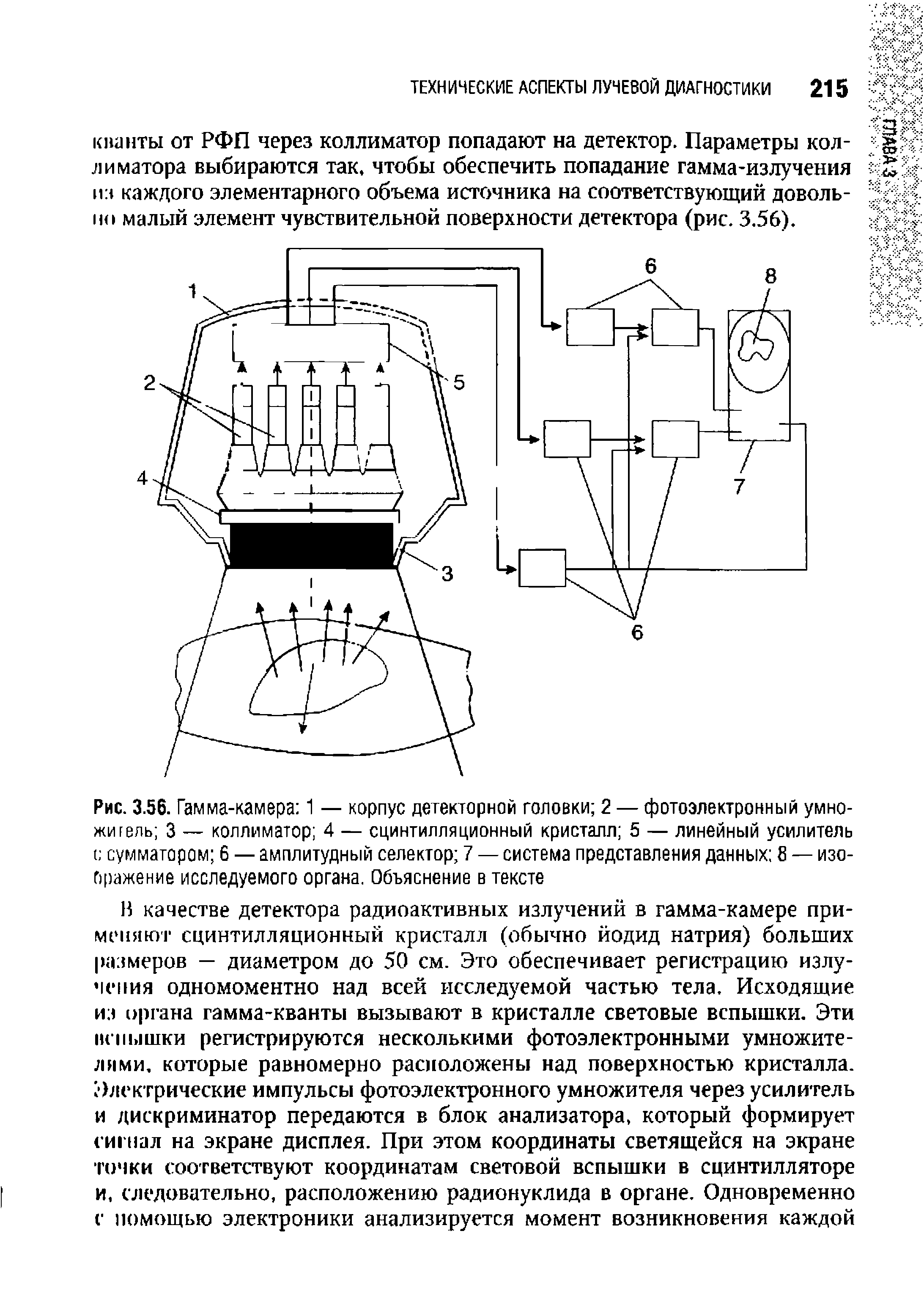 Рис. 3.56. Гамма-камера 1 — корпус детекторной головки 2 — фотоэлектронный умножитель 3 — коллиматор 4 — сцинтилляционный кристалл 5 — линейный усилитель ( сумматором 6 — амплитудный селектор 7 — система представления данных 8 — изображение исследуемого органа. Объяснение в тексте...