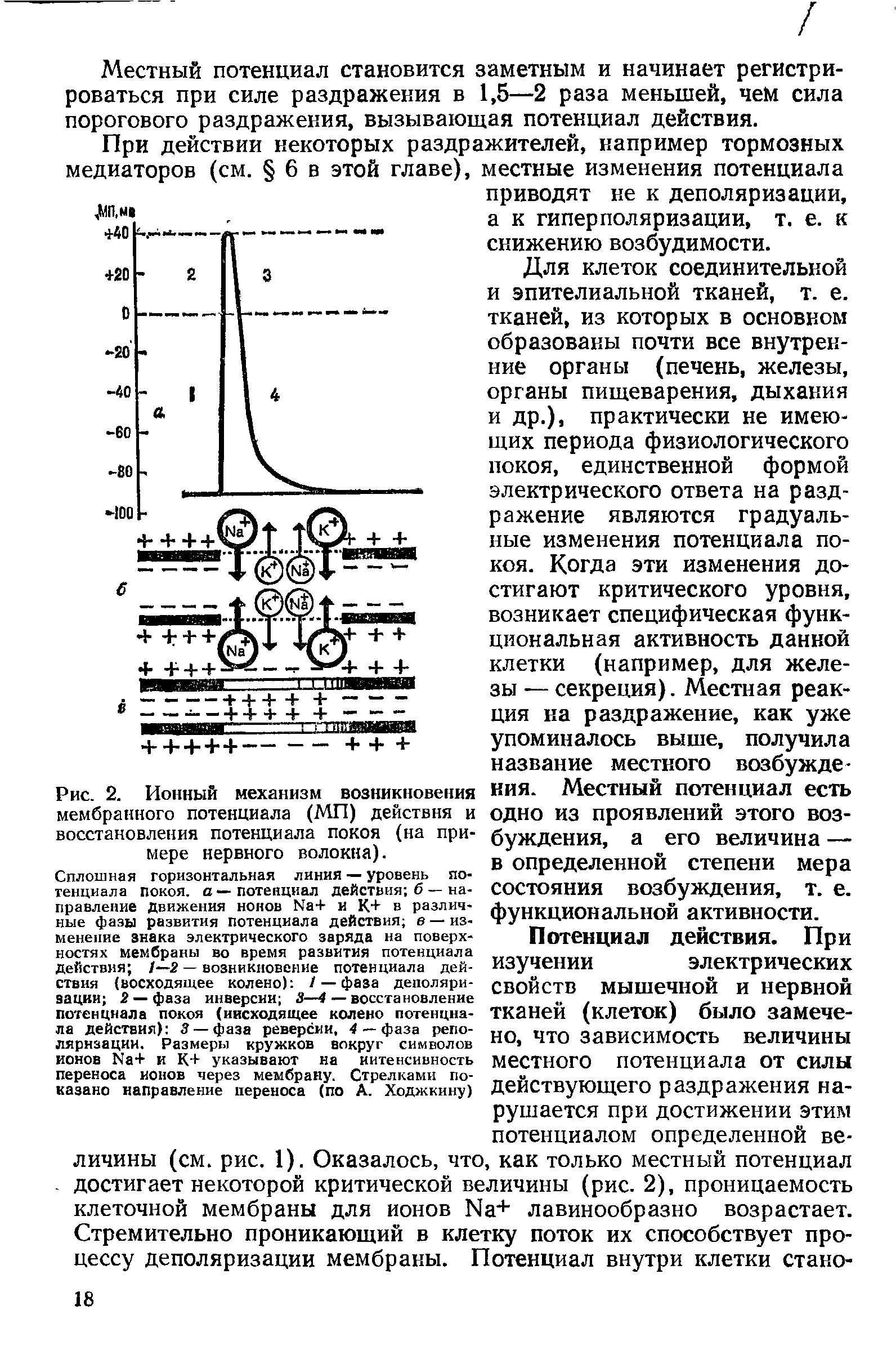 Рис. 2. Ионный механизм возникновения мембранного потенциала (МП) действия и восстановления потенциала покоя (на примере нервного волокна).