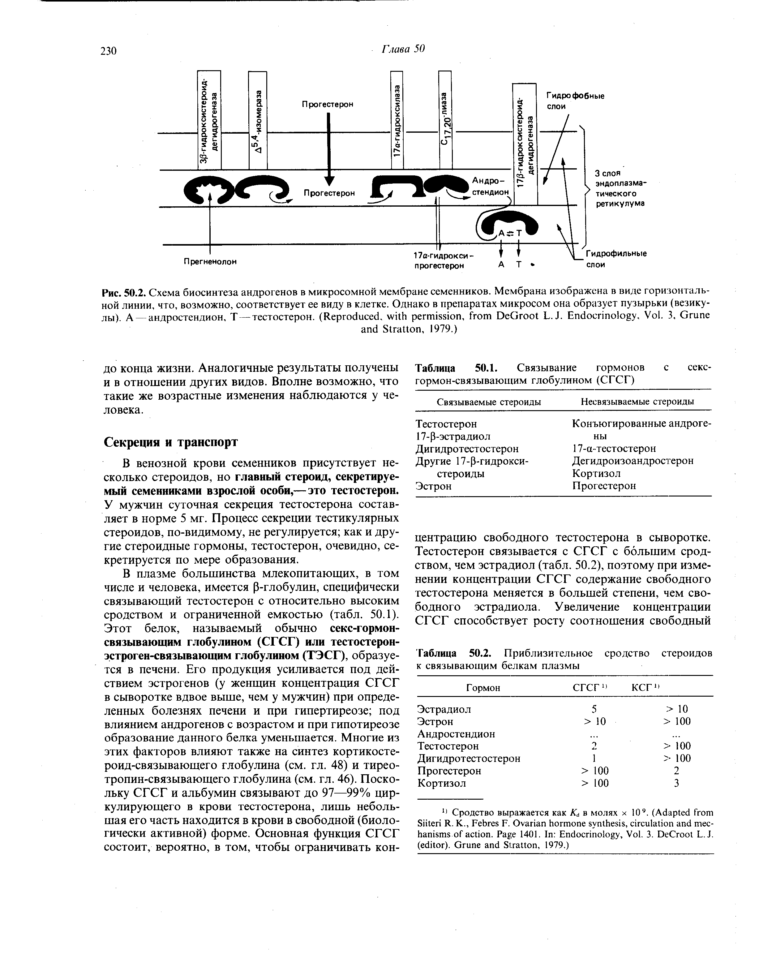 Таблица 50.1. Связывание гормонов с секс-гормон-связывающим глобулином (СГСГ)...