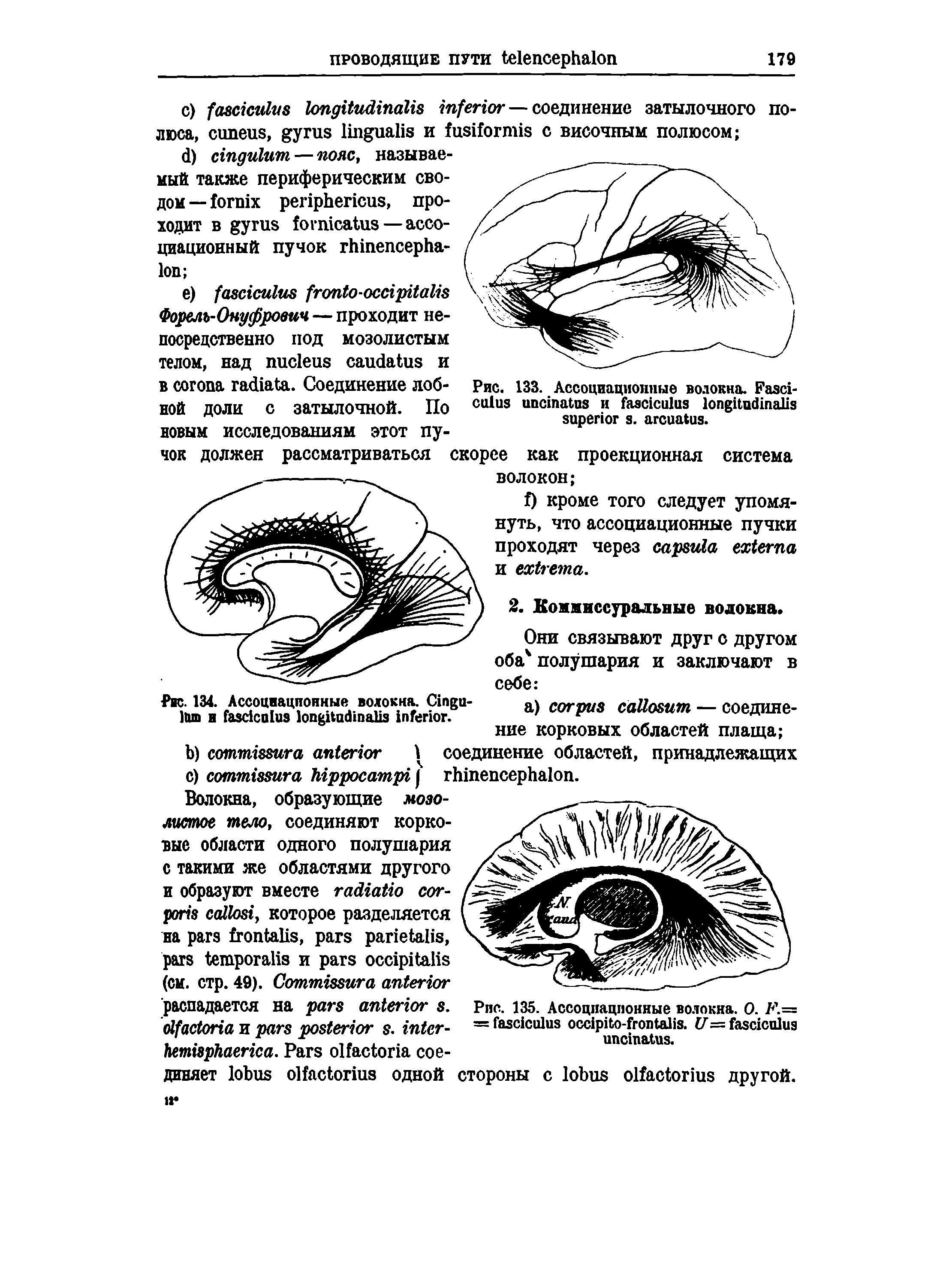 Рис. 135. Ассоциационные волокна. О. F.= = - . U = .