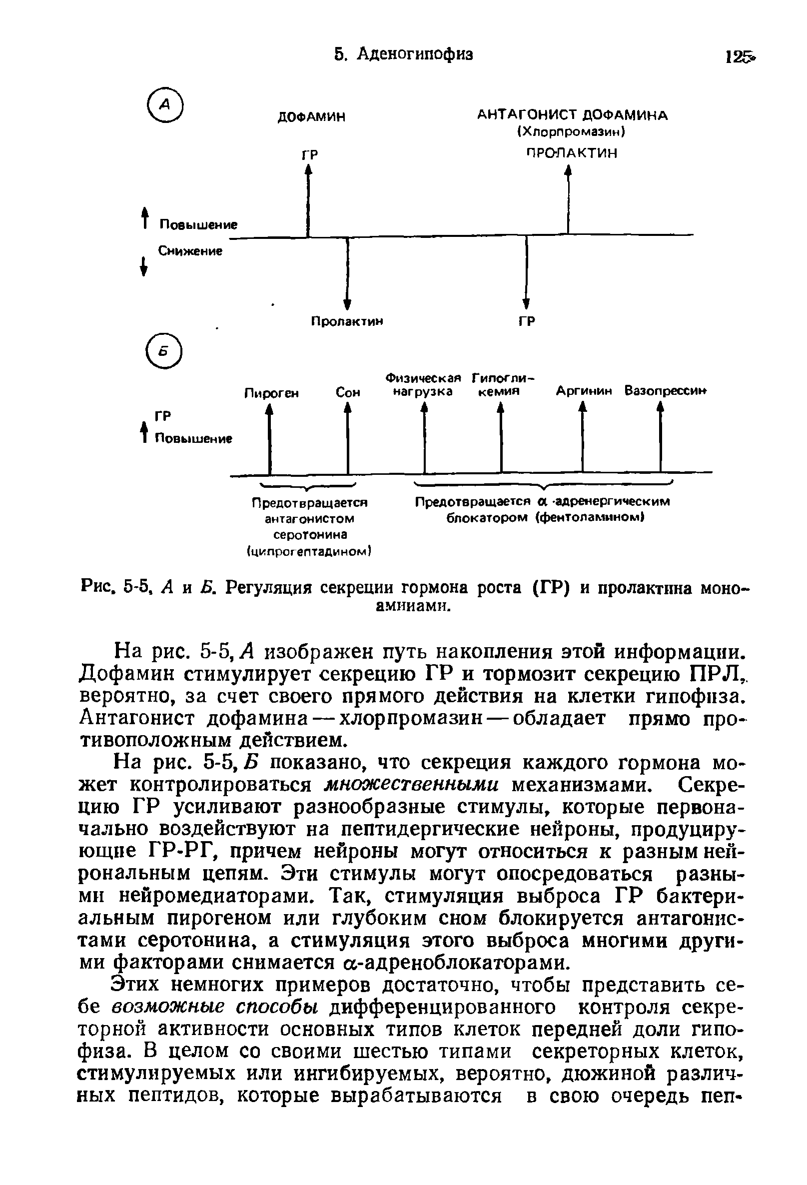 Рис. 5-5, А и Б. Регуляция секреции гормона роста (ГР) и пролактина моно-аминами.