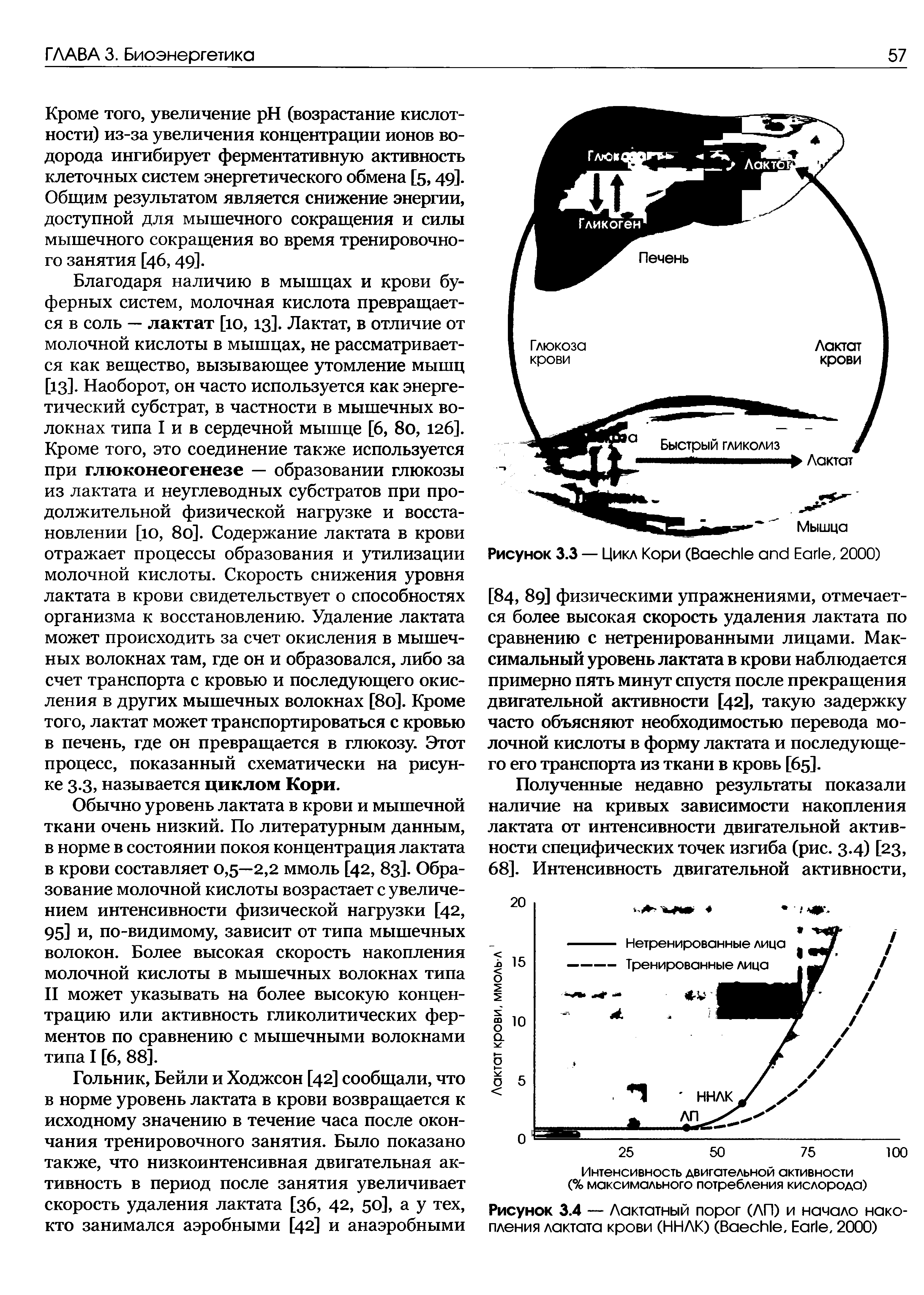 Рисунок 3.4 — Лактатный порог (ЛП) и начало накопления лактата крови (ННЛК) (B , E , 2000)...