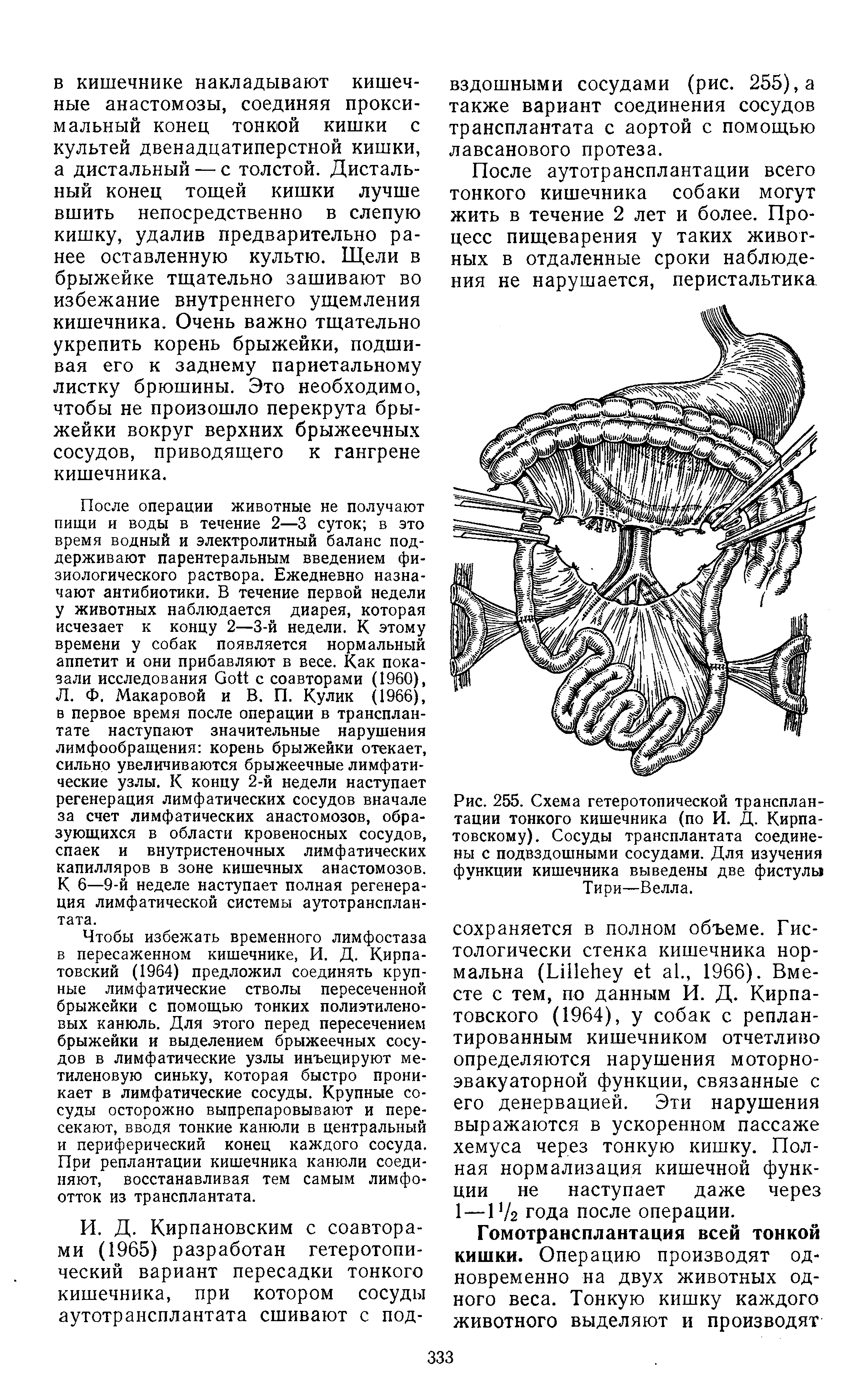 Рис. 255. Схема гетеротопической трансплантации тонкого кишечника (по И. Д. Кирпа-товскому). Сосуды трансплантата соединены с подвздошными сосудами. Для изучения функции кишечника выведены две фистулы Тири—Велла.