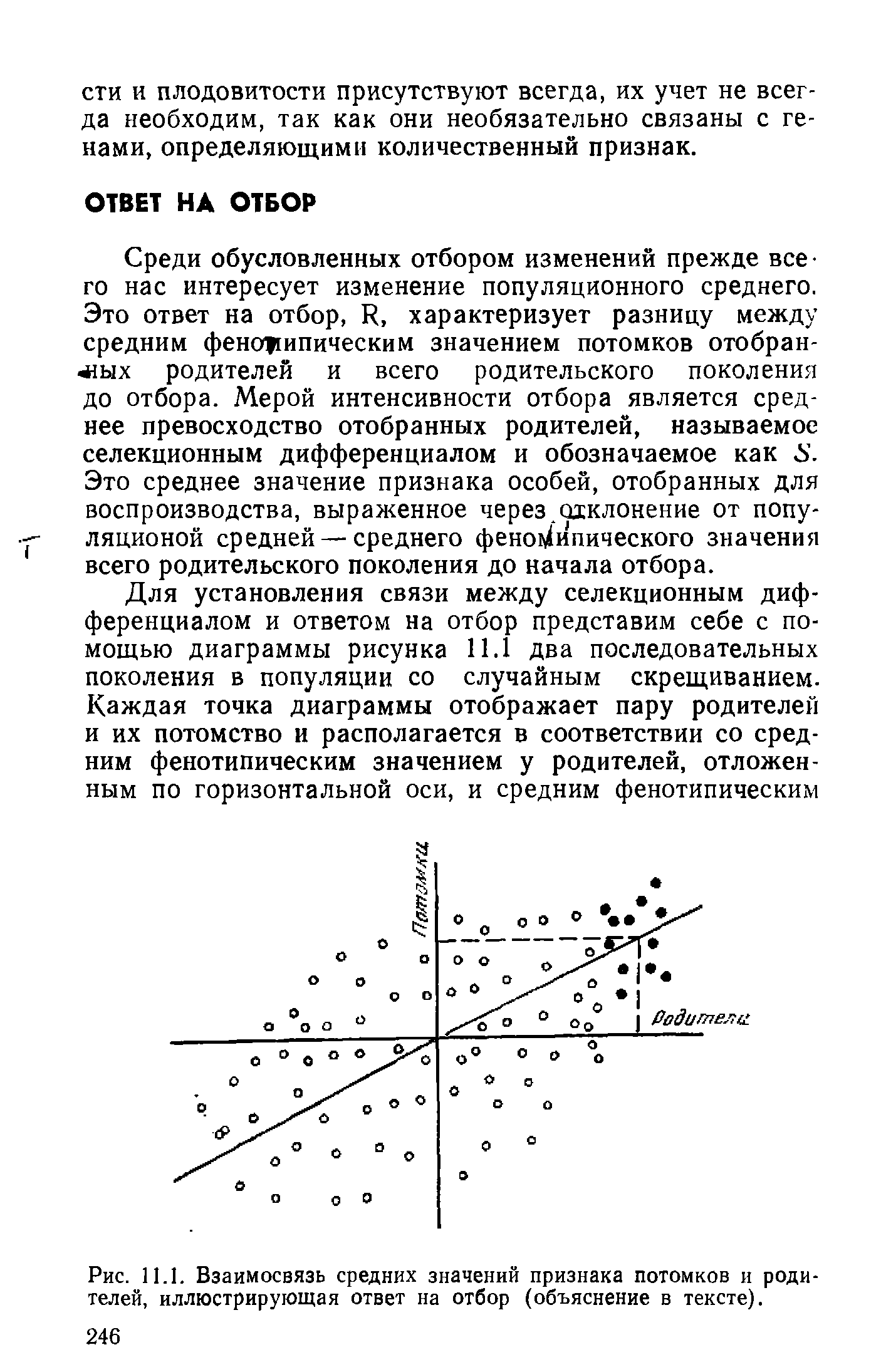 Рис. 11.1. Взаимосвязь средних значений признака потомков и родителей, иллюстрирующая ответ на отбор (объяснение в тексте).