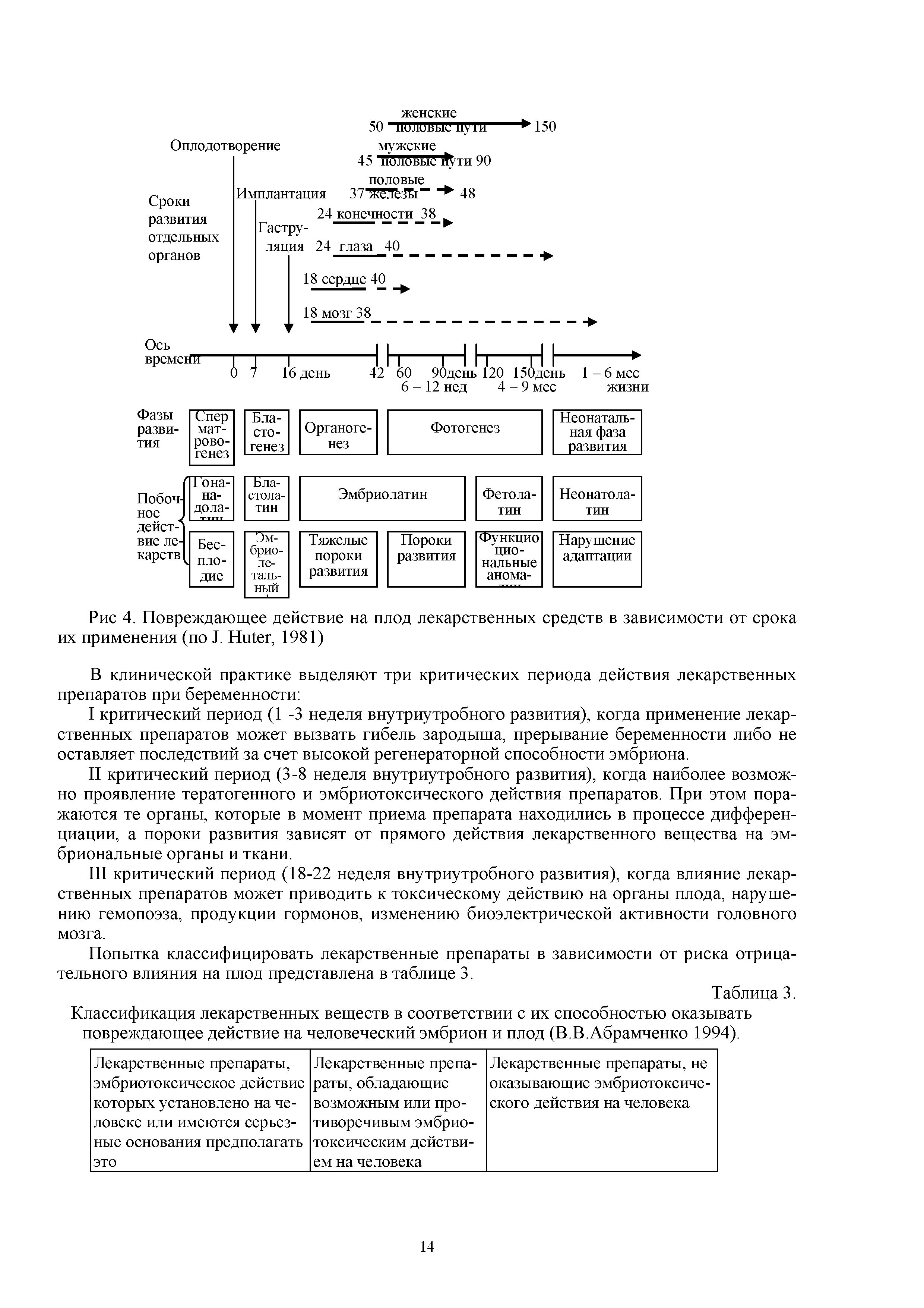 Таблица 3. Классификация лекарственных веществ в соответствии с их способностью оказывать повреждающее действие на человеческий эмбрион и плод (В.В.Абрамченко 1994).