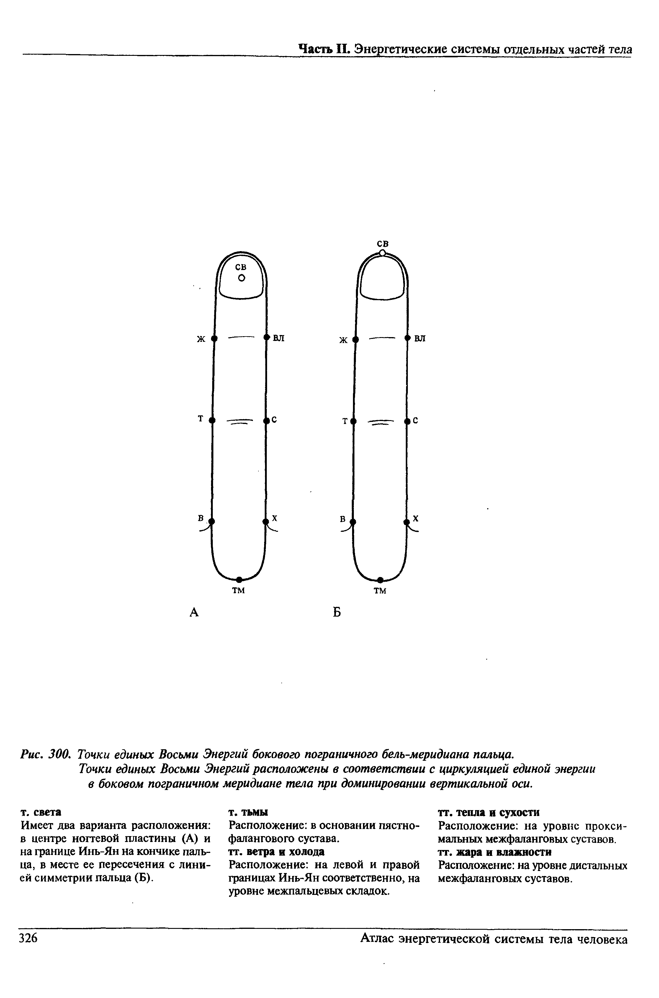 Рис. 300. Точки единых Восьми Энергий бокового пограничного бель-меридиана пальца.