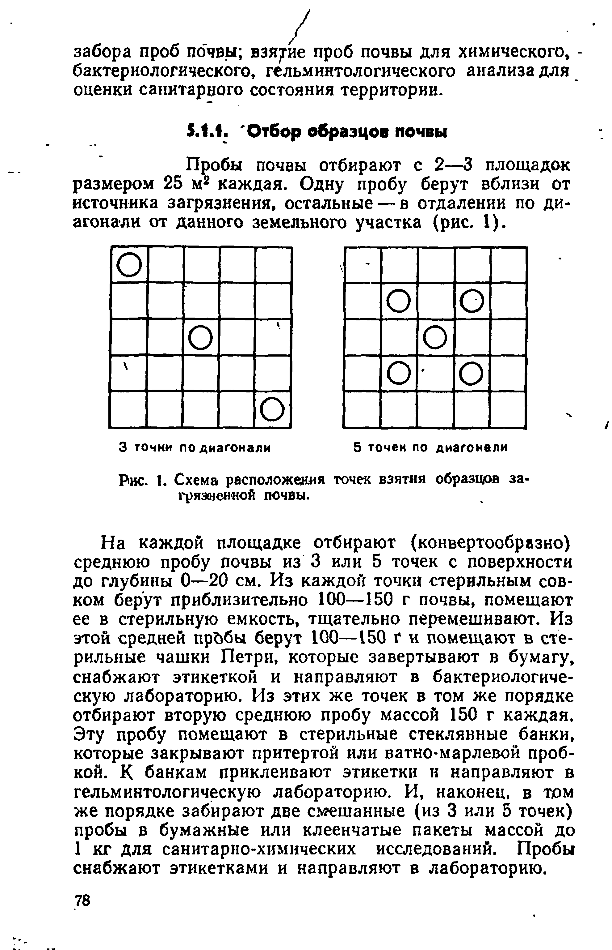 Рис. 1. Схема расположения точек взятия образцов загрязненной почвы.