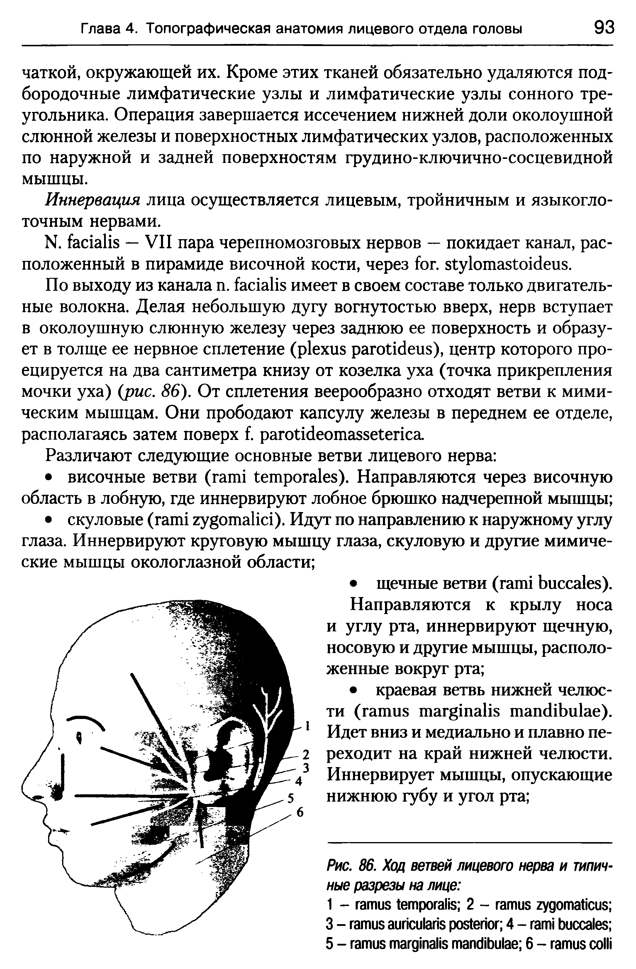 Рис. 86. Ход ветвей лицевого нерва и типичные разрезы на лице ...