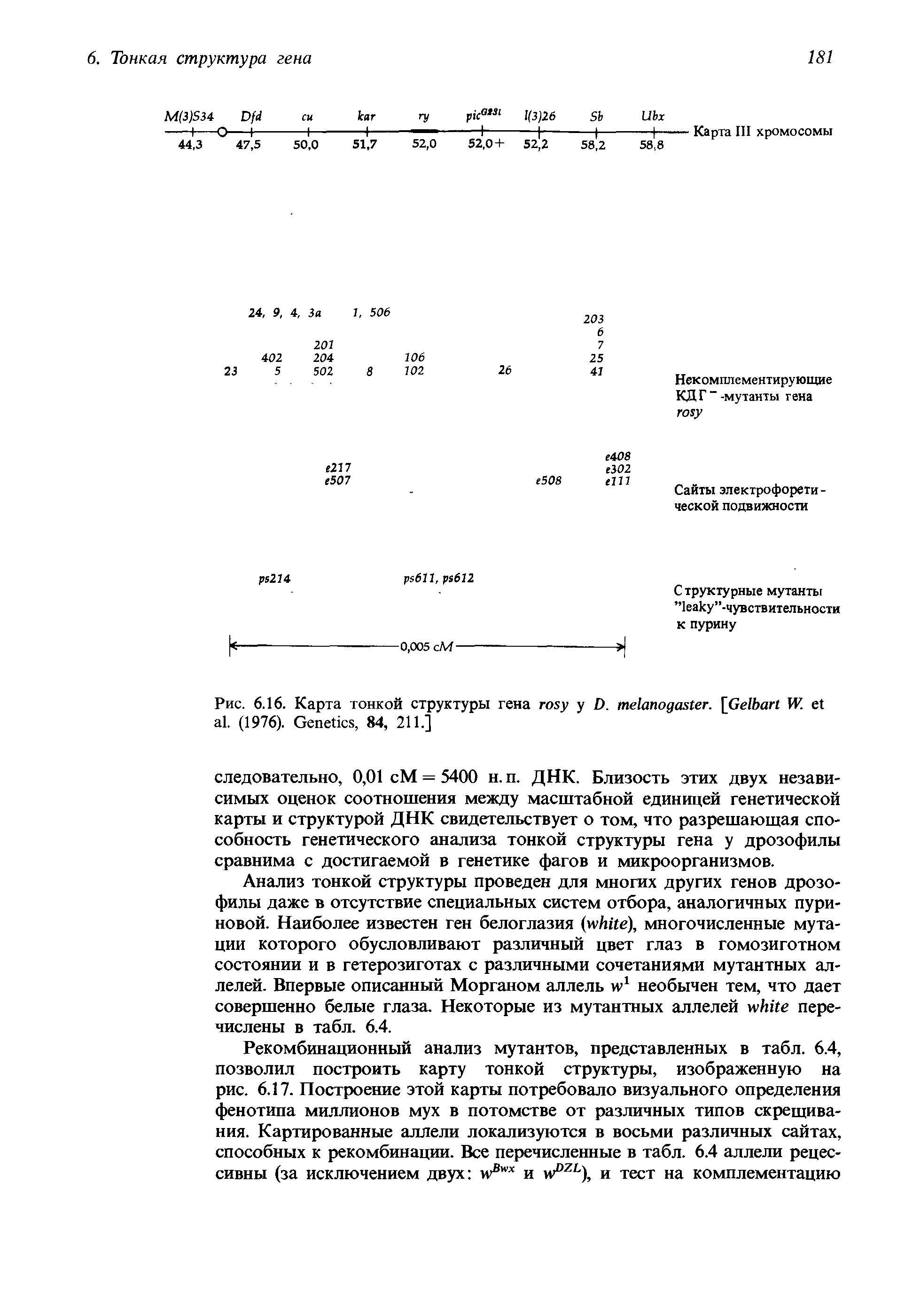 Рис. 6.16. Карта тонкой структуры гена у D. . [G W. . (1976). G , 84, 211.]...