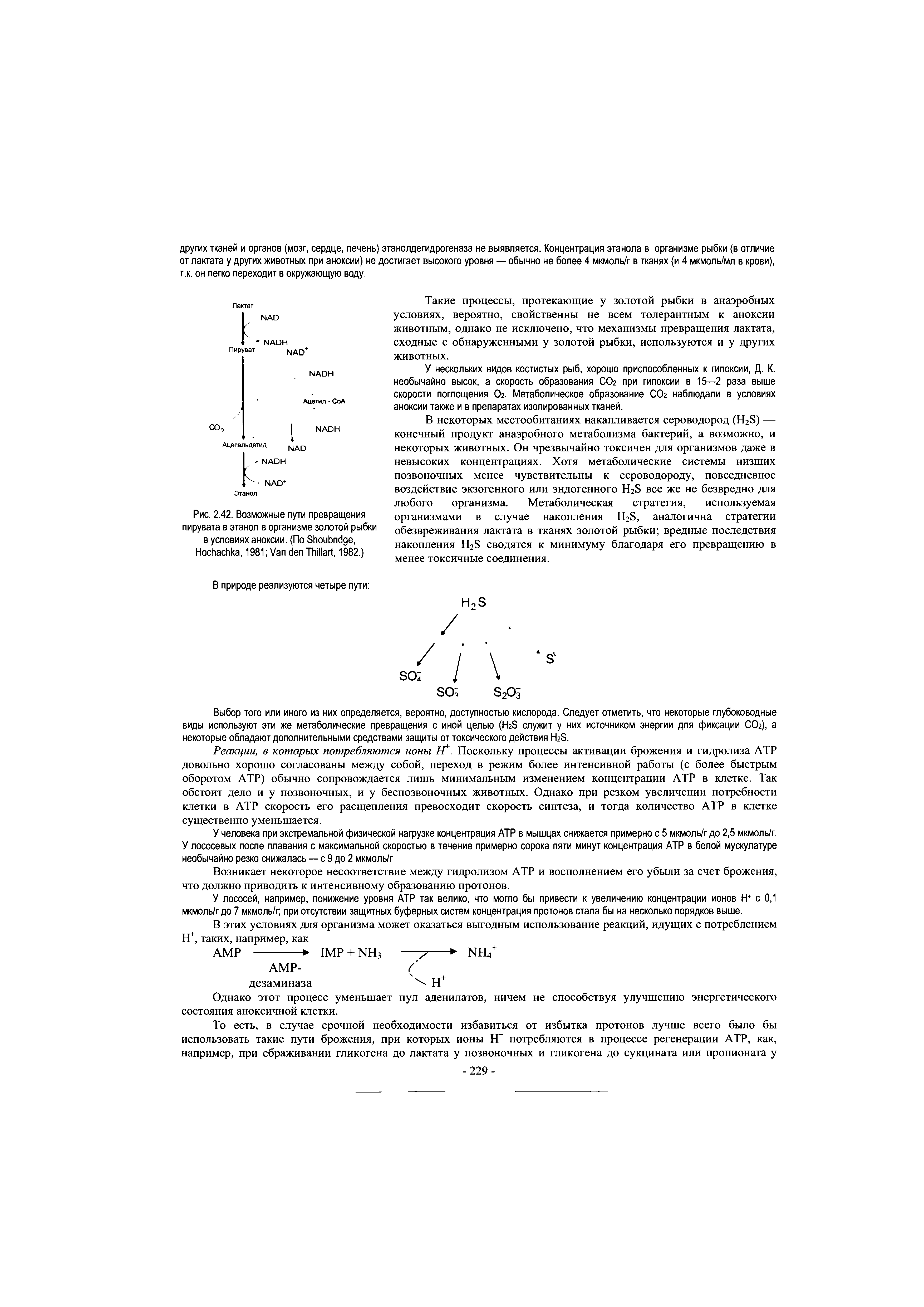 Рис. 2.42. Возможные пути превращения пирувата в этанол в организме золотой рыбки в условиях аноксии. (По S , H , 1981 V T , 1982.)...
