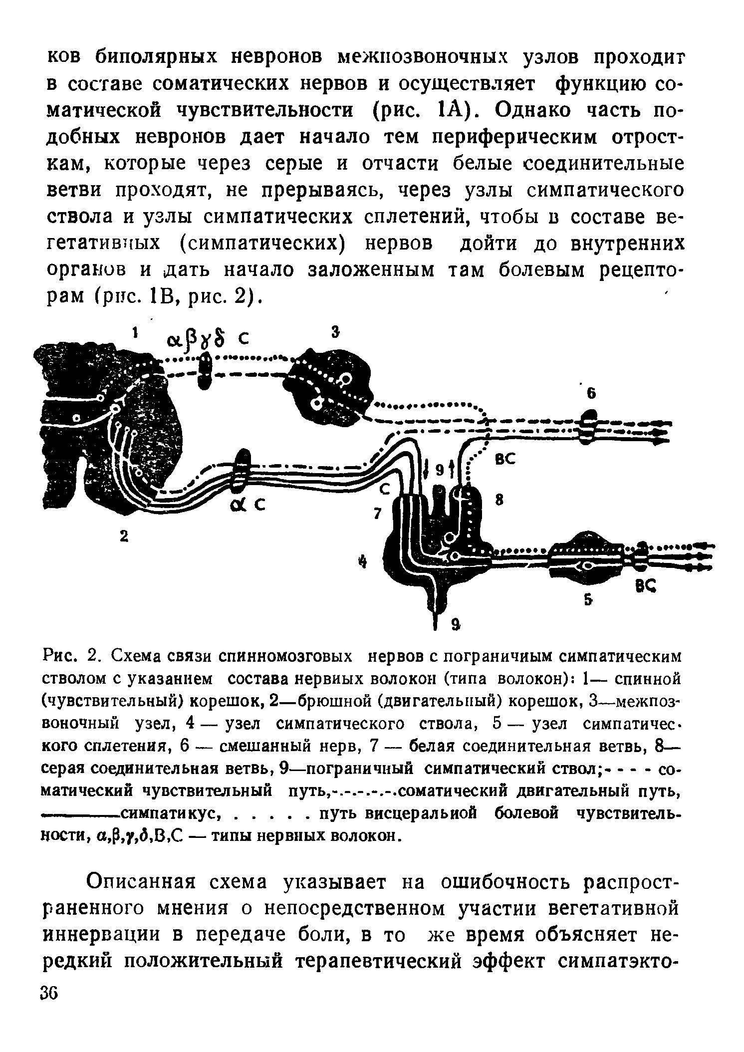 Рис. 2. Схема связи спинномозговых нервов с пограничным симпатическим стволом с указанием состава нервных волокон (типа волокон) 1— спинной (чувствительный) корешок, 2—брюшной (двигательный) корешок, 3—межпозвоночный узел, 4—узел симпатического ствола, 5—узел симпатического сплетения, 6 — смешанный нерв, 7 — белая соединительная ветвь, 8— серая соединительная ветвь, 9—пограничный симпатический ствол - - - - соматический чувствительный путь,-.-.соматический двигательный путь, -------симпатикус.путь висцеральной болевой чувствитель-...