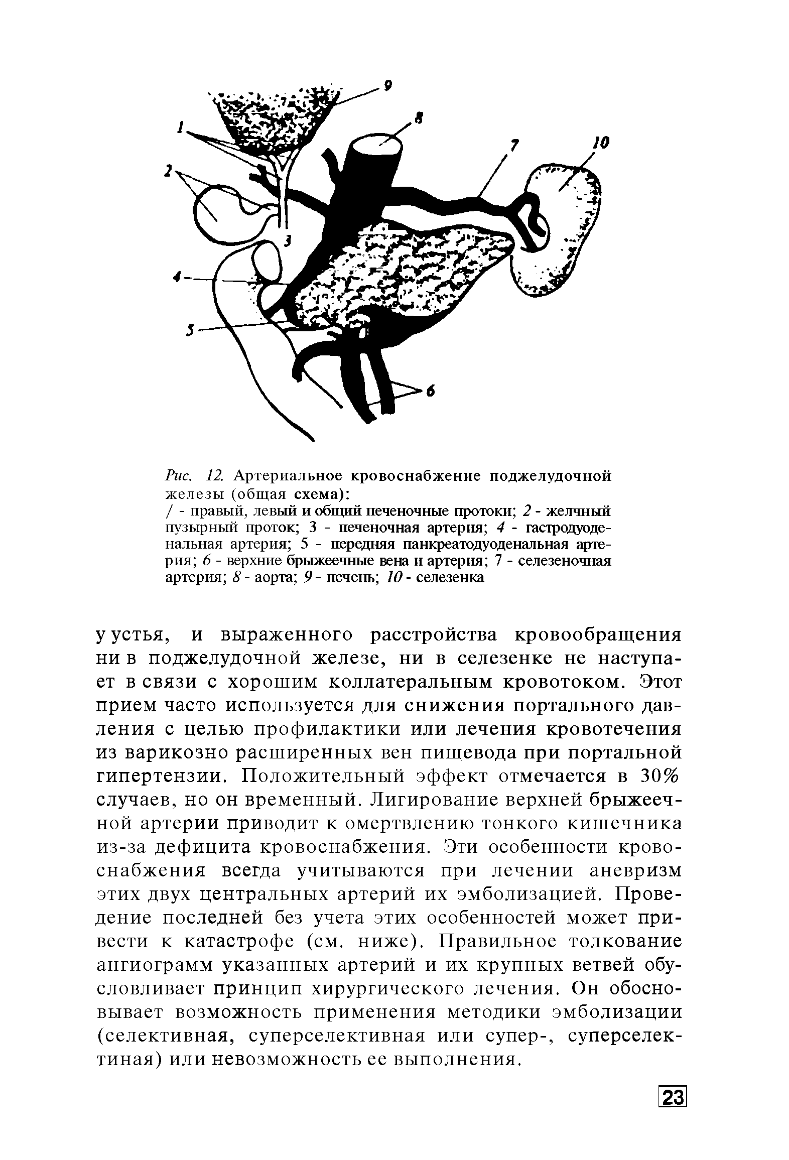 Рис. 12. Артериальное кровоснабжение поджелудочной железы (общая схема) ...