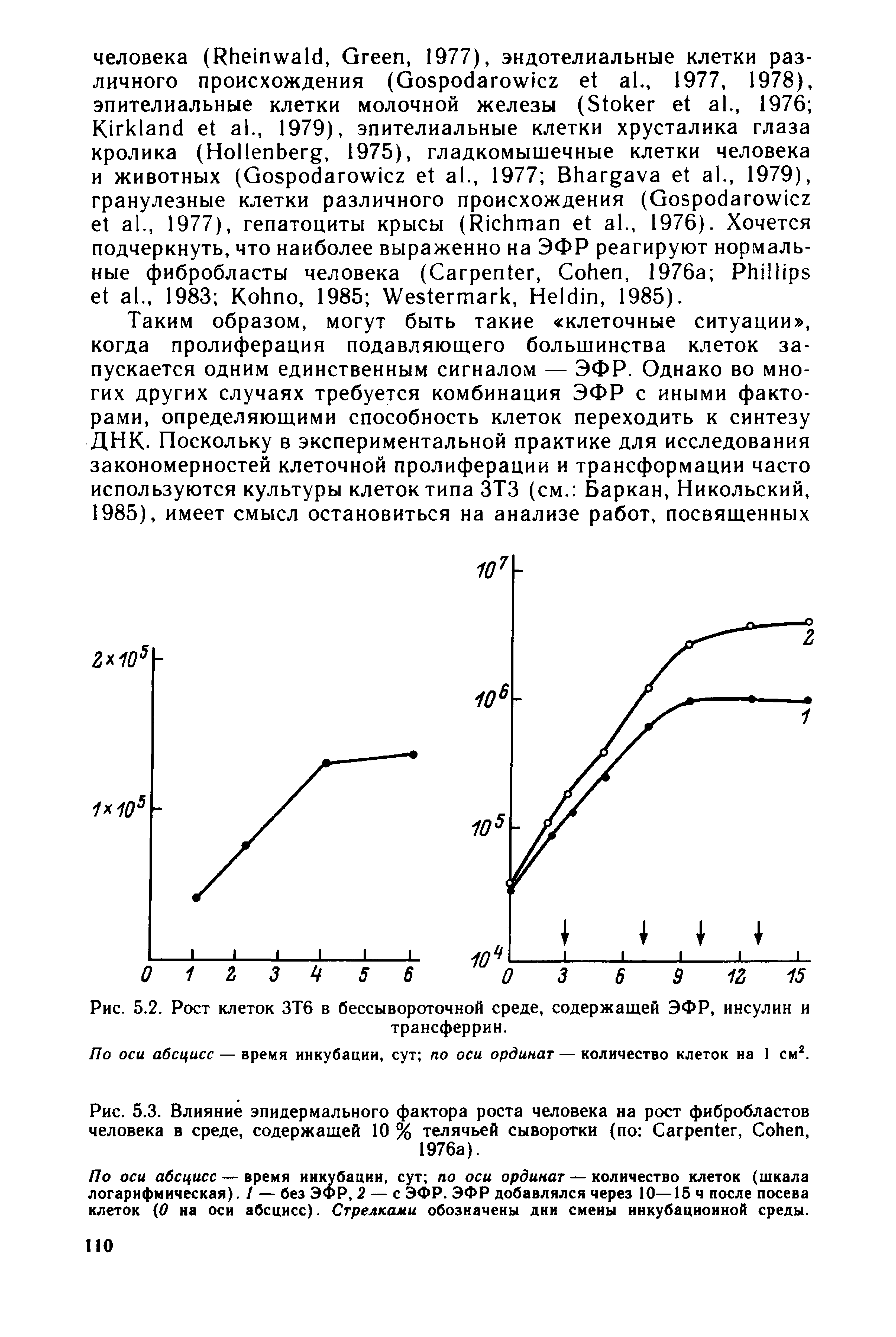 Рис. 5.3. Влияние эпидермального фактора роста человека на рост фибробластов человека в среде, содержащей 10 % телячьей сыворотки (по C , C , 1976а).