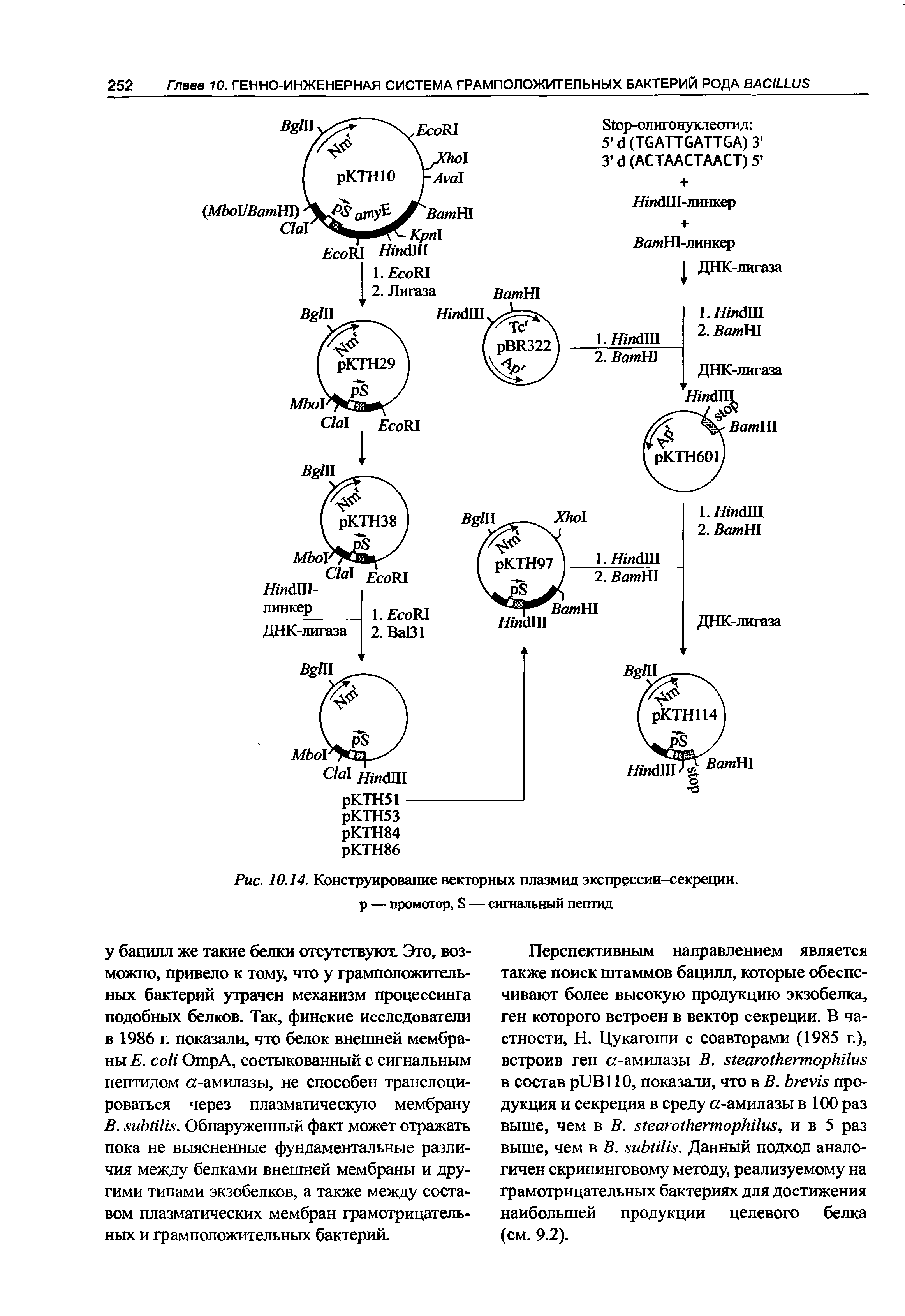 Рис. 10.14. Конструирование векторных плазмид экспрессии-секреции, р — промотор, 8 — сигнальный пептид...