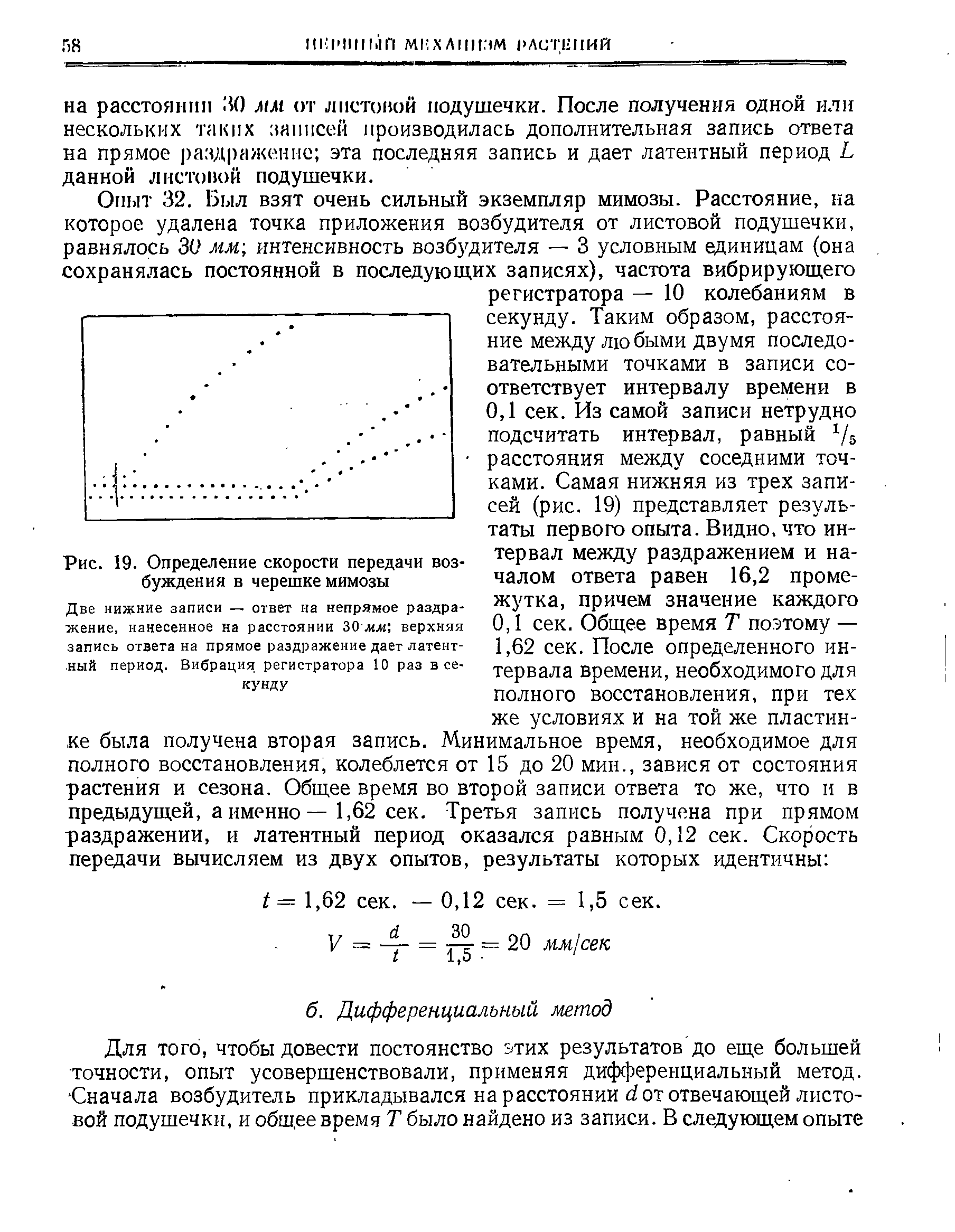 Рис. 19. Определение скорости передачи возбуждения в черешке мимозы...