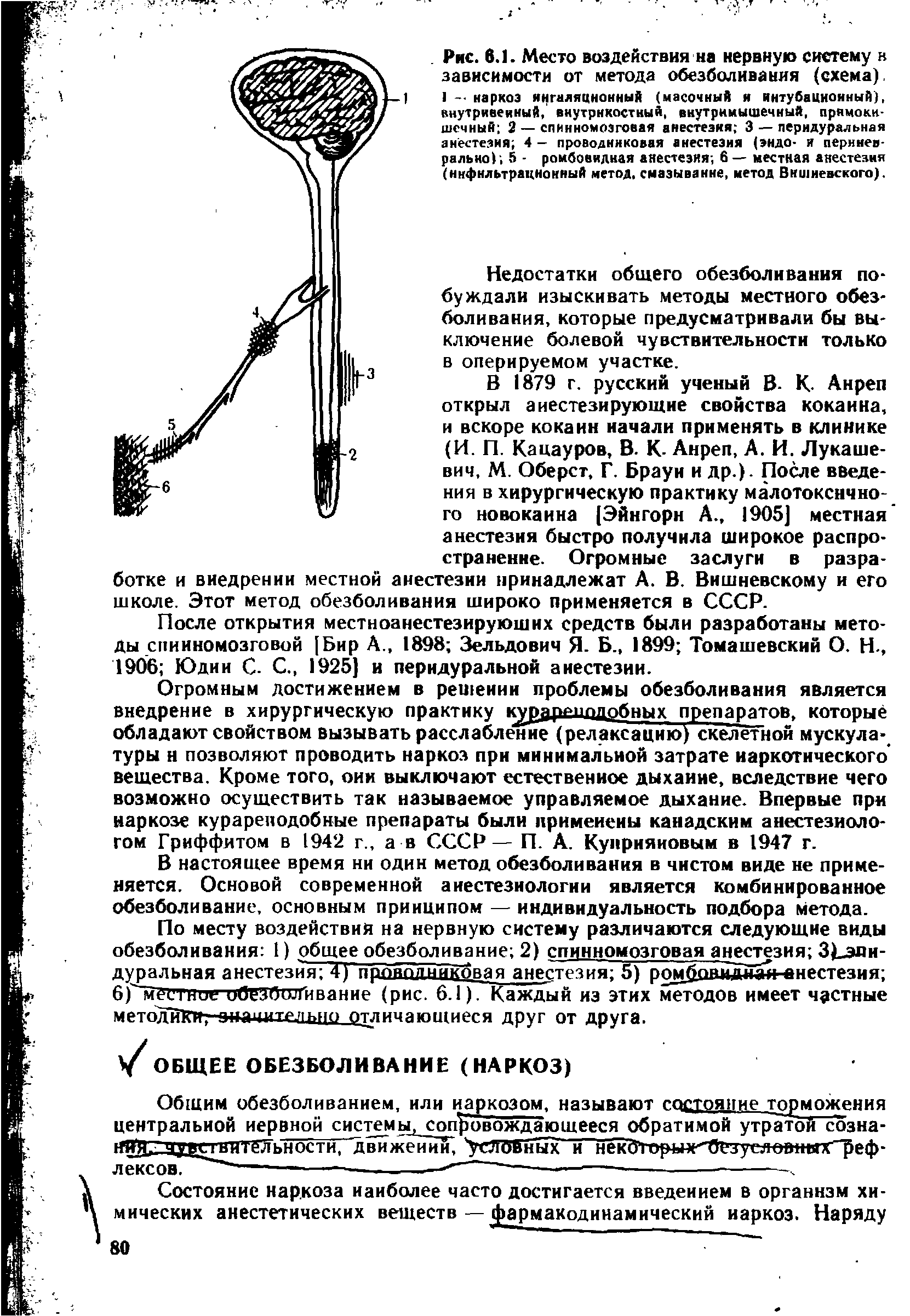 Рис. 6.1. Место воздействия на нервную систему в зависимости от метода обезболивания (схема). I - наркоз ингаляционный (масочный и интубационный), внутривенный, внутрикостный, внутримышечный, прямокишечный 2— спинномозговая анестезия 3 — перидуральная анестезия 4 — проводниковая анестезия (эндо- и перинев-рально), 5 - ромбовидная анестезия 6 — местная анестезия (инфильтрационный метод, смазывание, метод Вишневского).