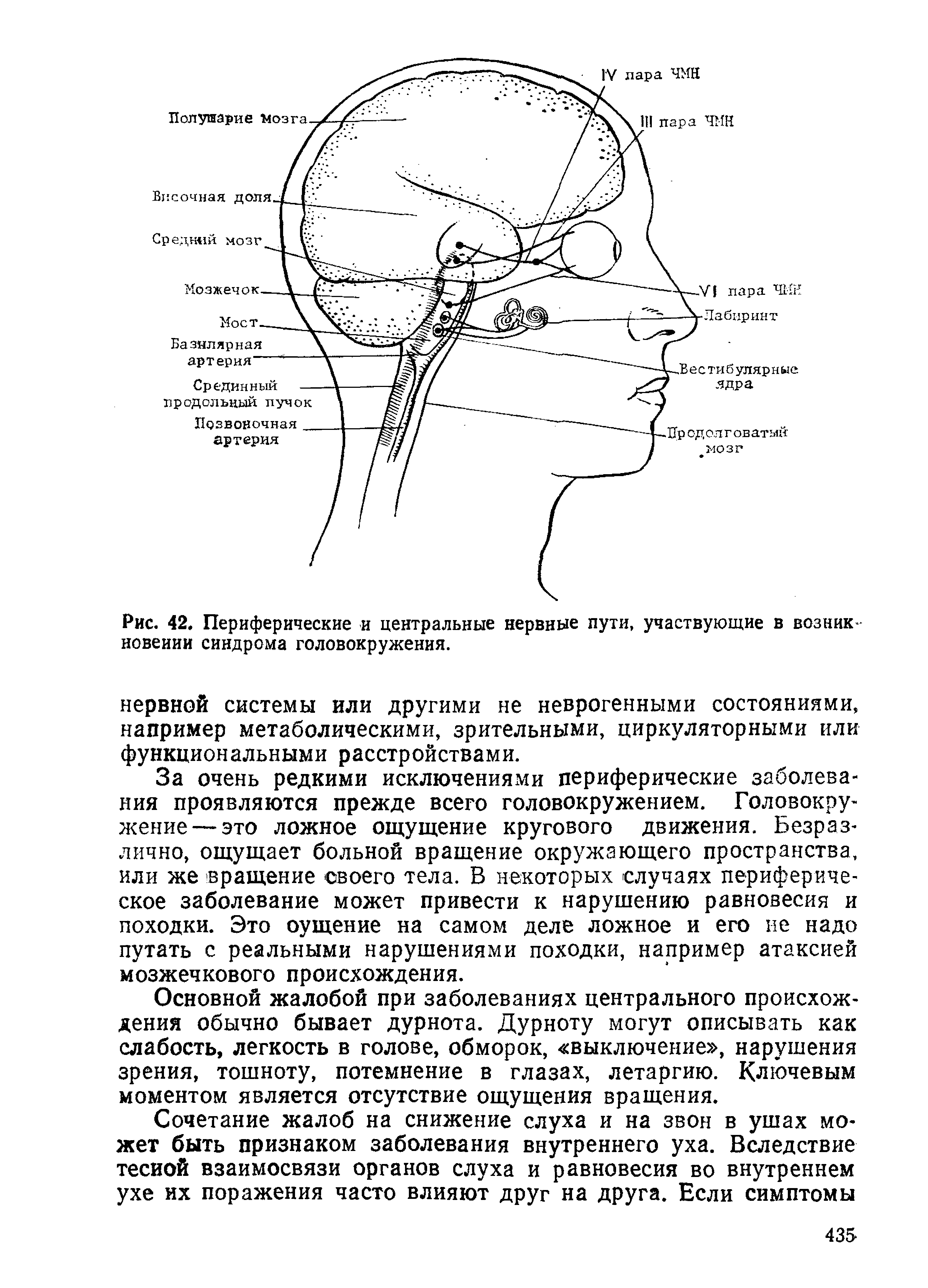 Рис. 42. Периферические и центральные нервные пути, участвующие в возник новеиии синдрома головокружения.