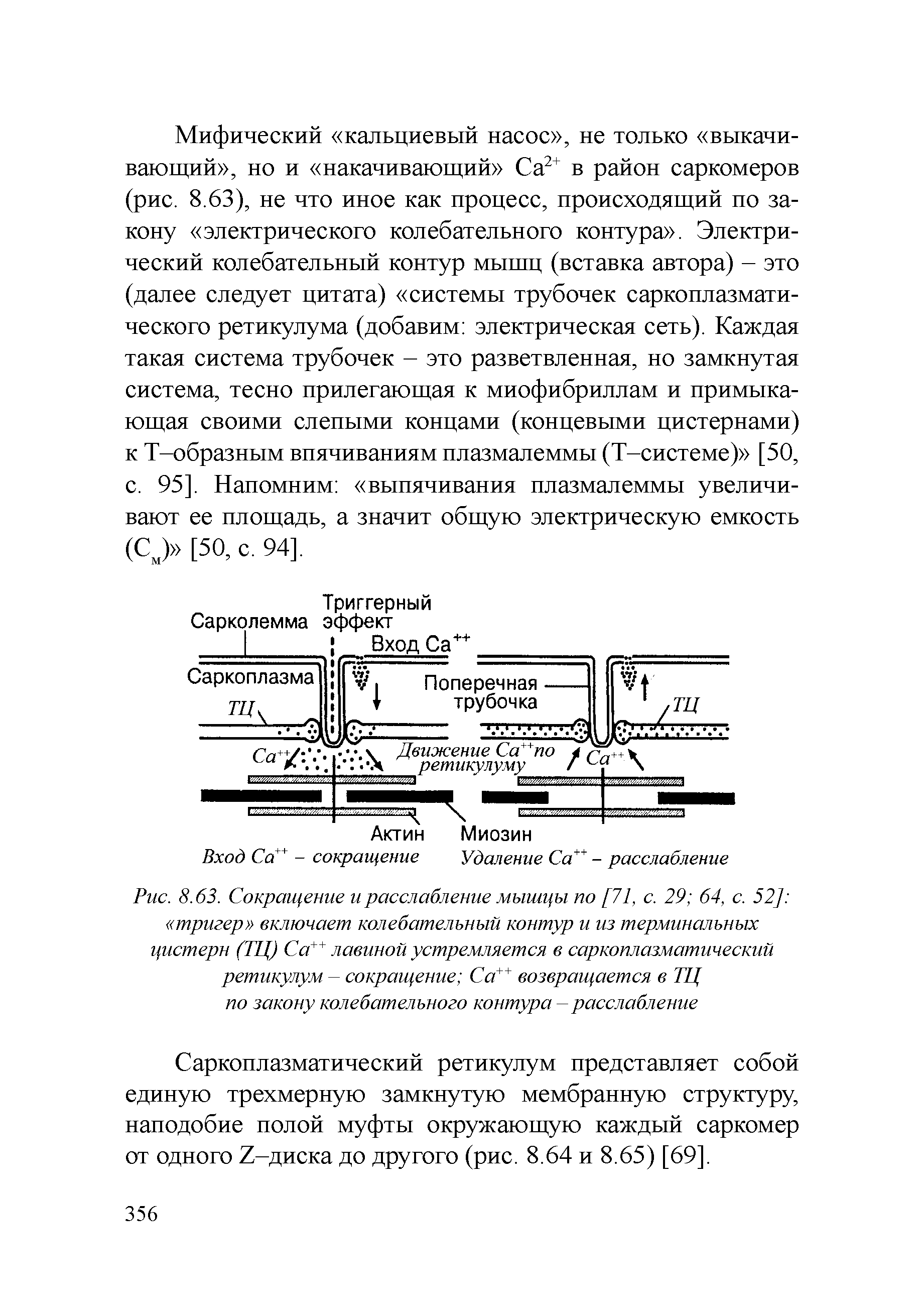 Рис. 8.63. Сокращение и расслабление мышцы по [71, с. 29 64, с. 52] тригер включает колебательный контур и из терминальных цистерн (ТЦ) Са++ лавиной устремляется в саркоплазматический ретикулум - сокращение Са++ возвращается в ТЦ по закону колебательного контура-расслабление...