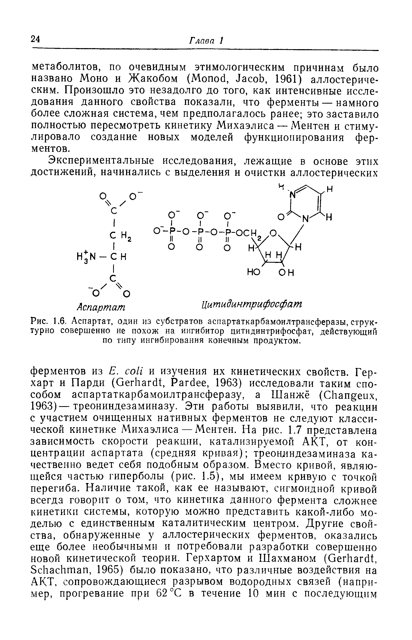 Рис. 1.6. Аспартат, один из субстратов аспартаткарбамоилтрансферазы, структурно совершенно не похож на ингибитор цитидинтрифосфат, действующий по типу ингибирования конечным продуктом.